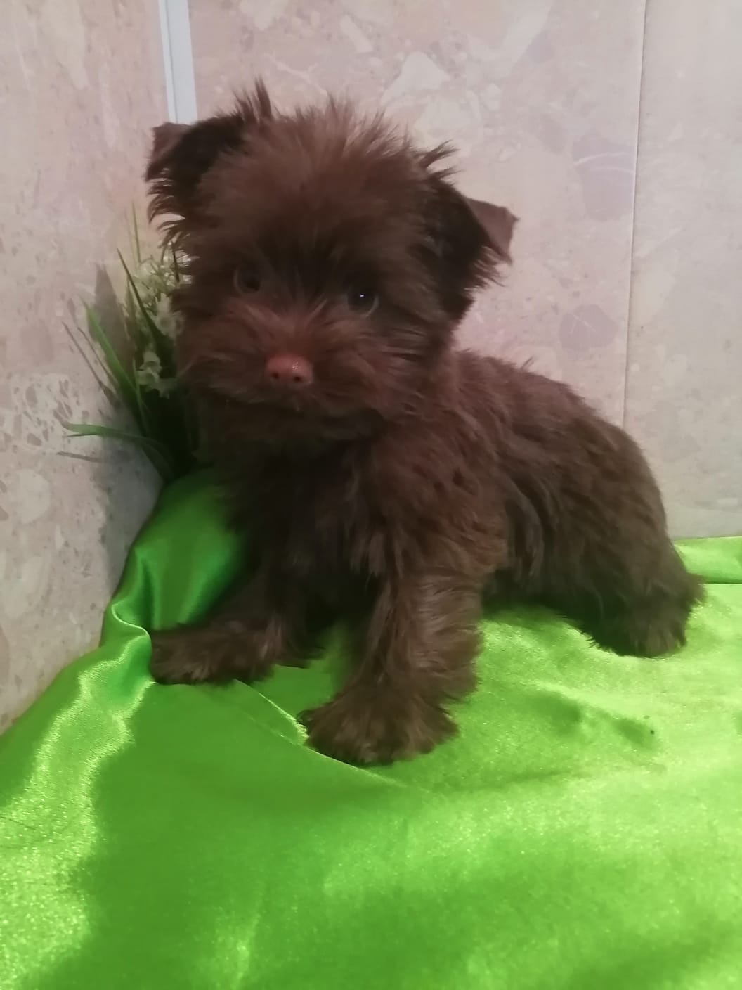 WhatsApp-Image-2024-02-10-at-15.39.45-2