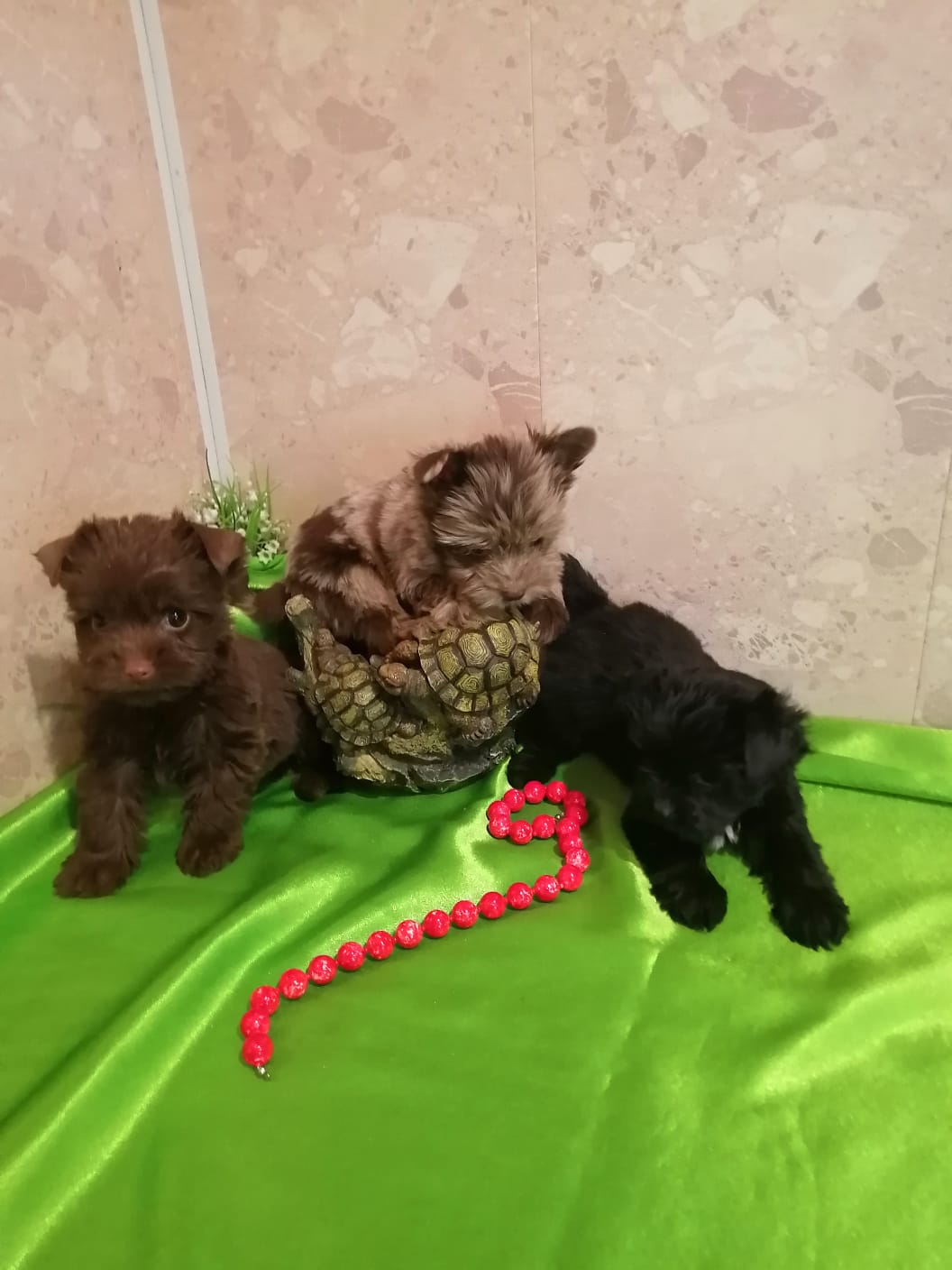 WhatsApp-Image-2024-02-10-at-15.39.45