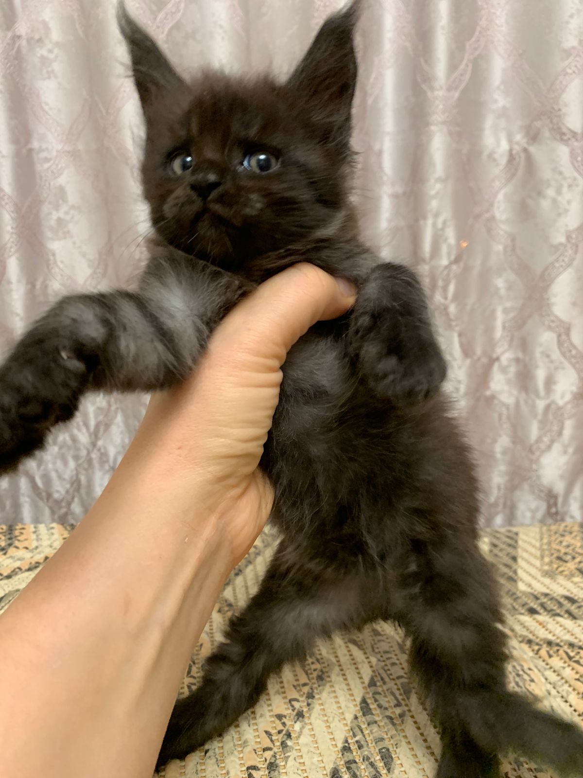 fcb86414-1091-4fbb-a575-c74f4ba28127