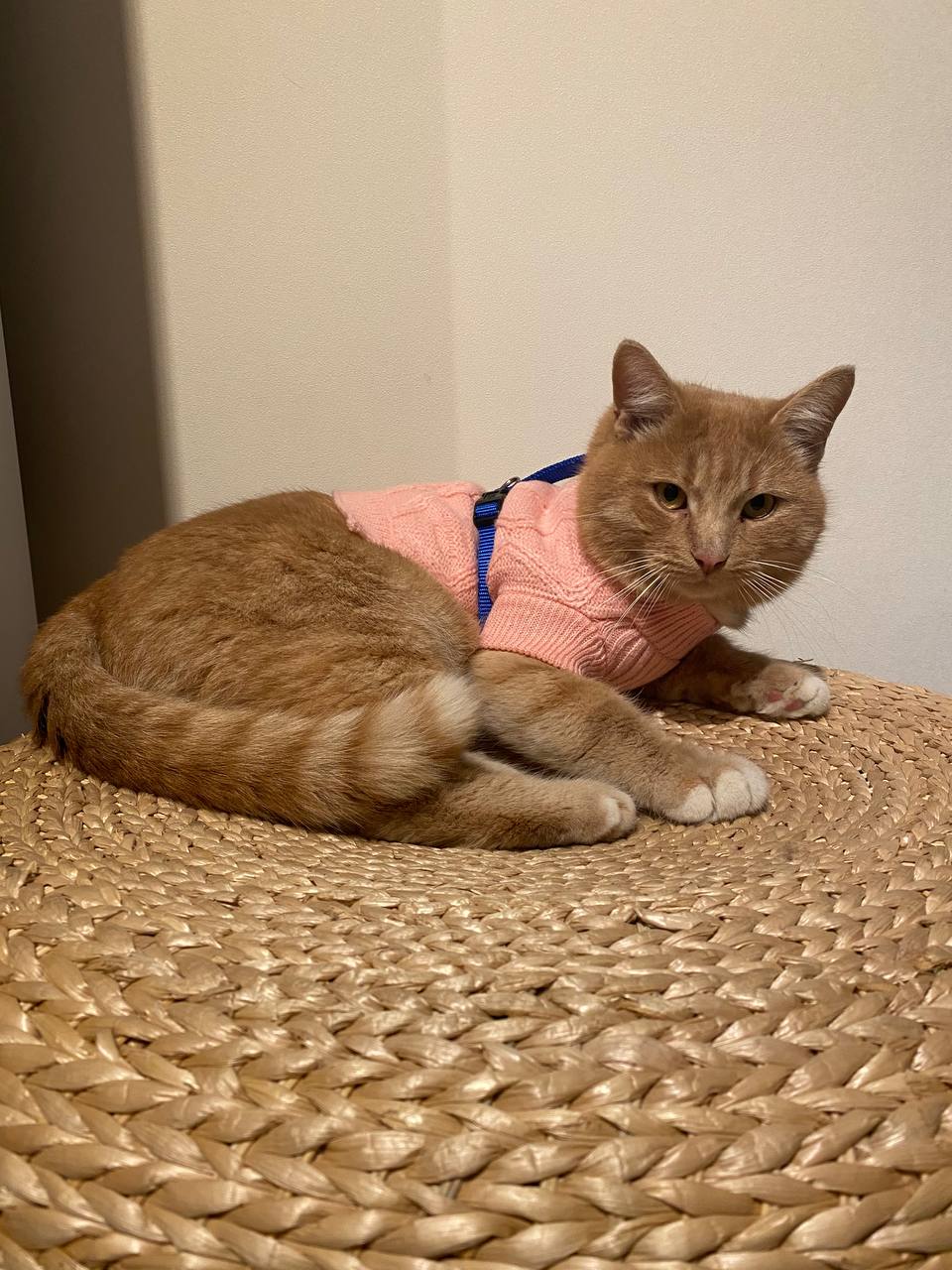 photo_2024-01-25_17-16-38