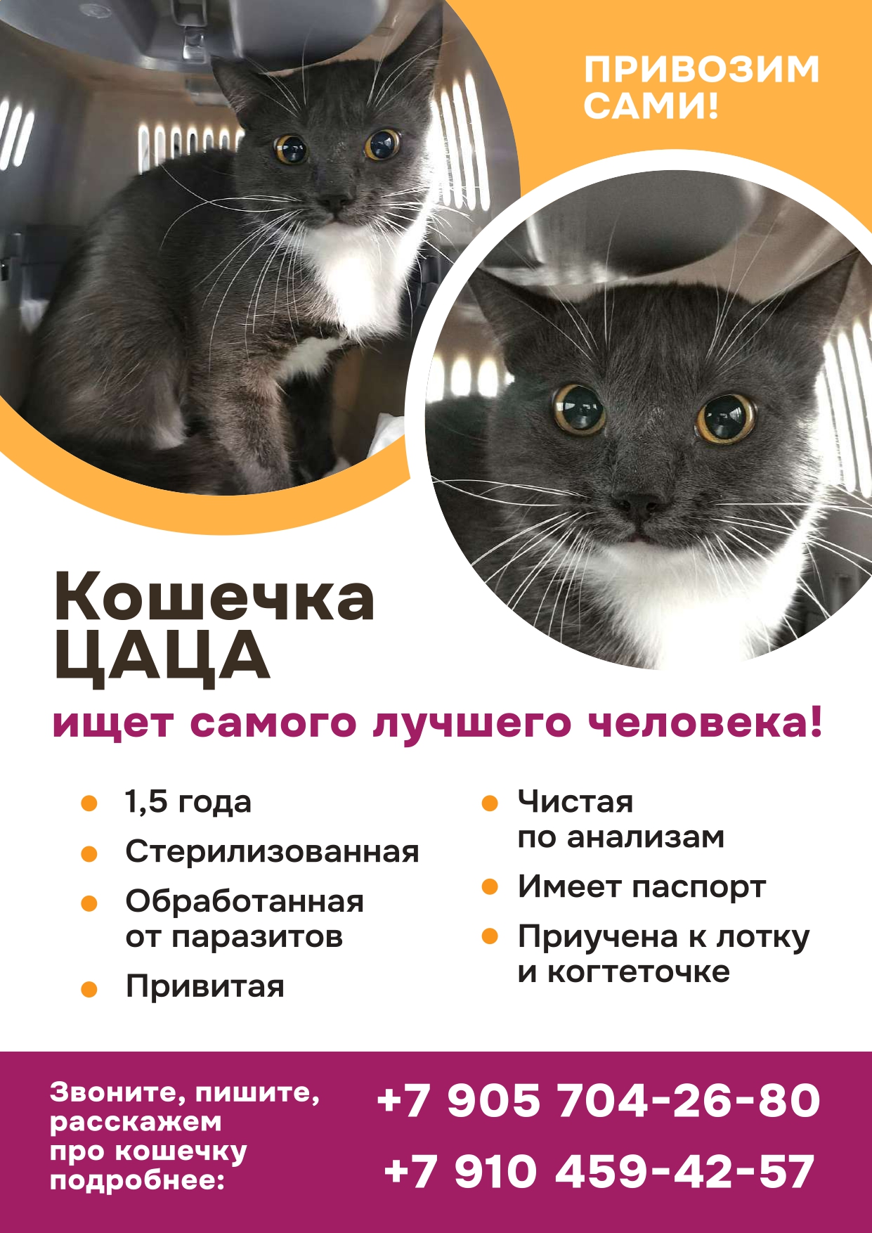 _реклама-2-объявление-по-пристройству_compressed_page-0001