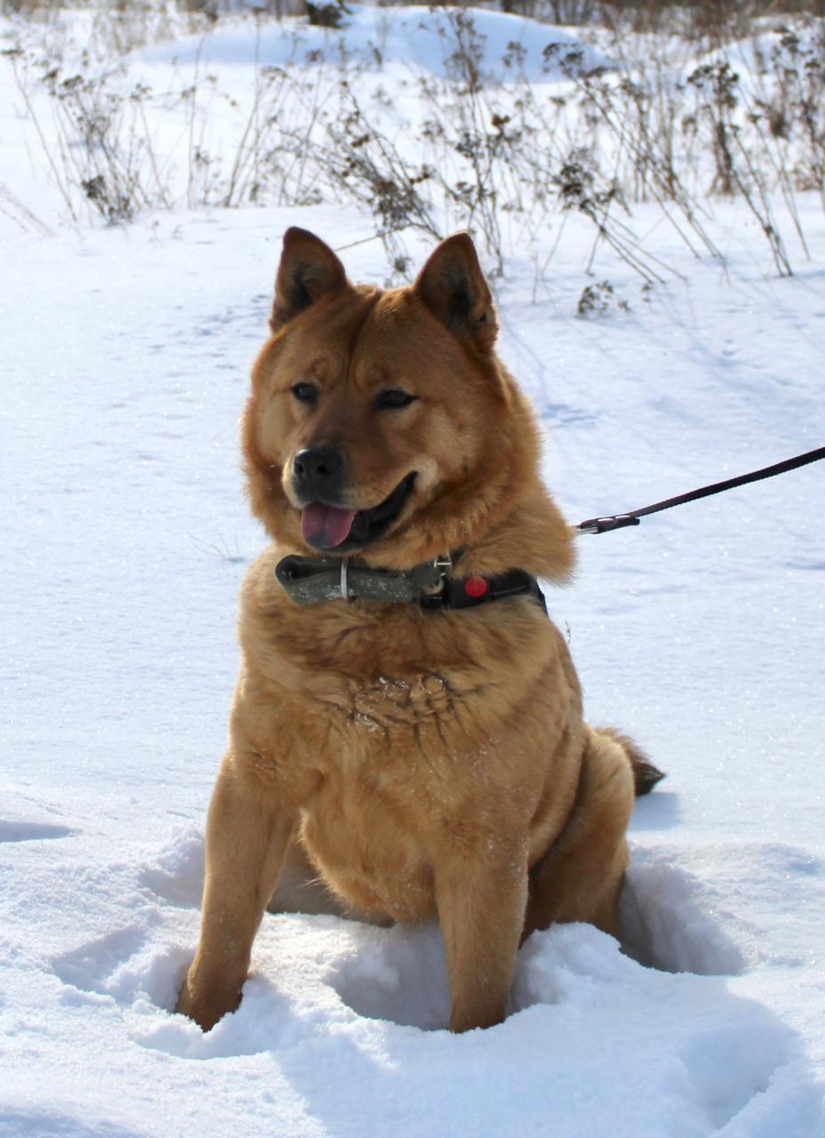 2acaa9cb-b4d1-48a0-afaa-f305728e23a3