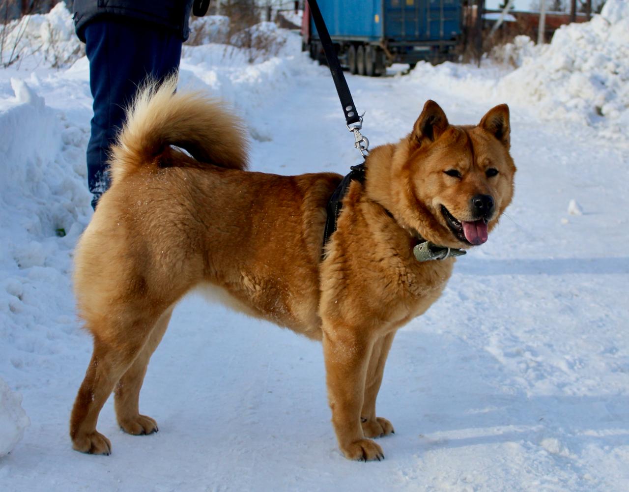 69cf5c6c-4e61-48c3-9f4d-8c35049f8fd0