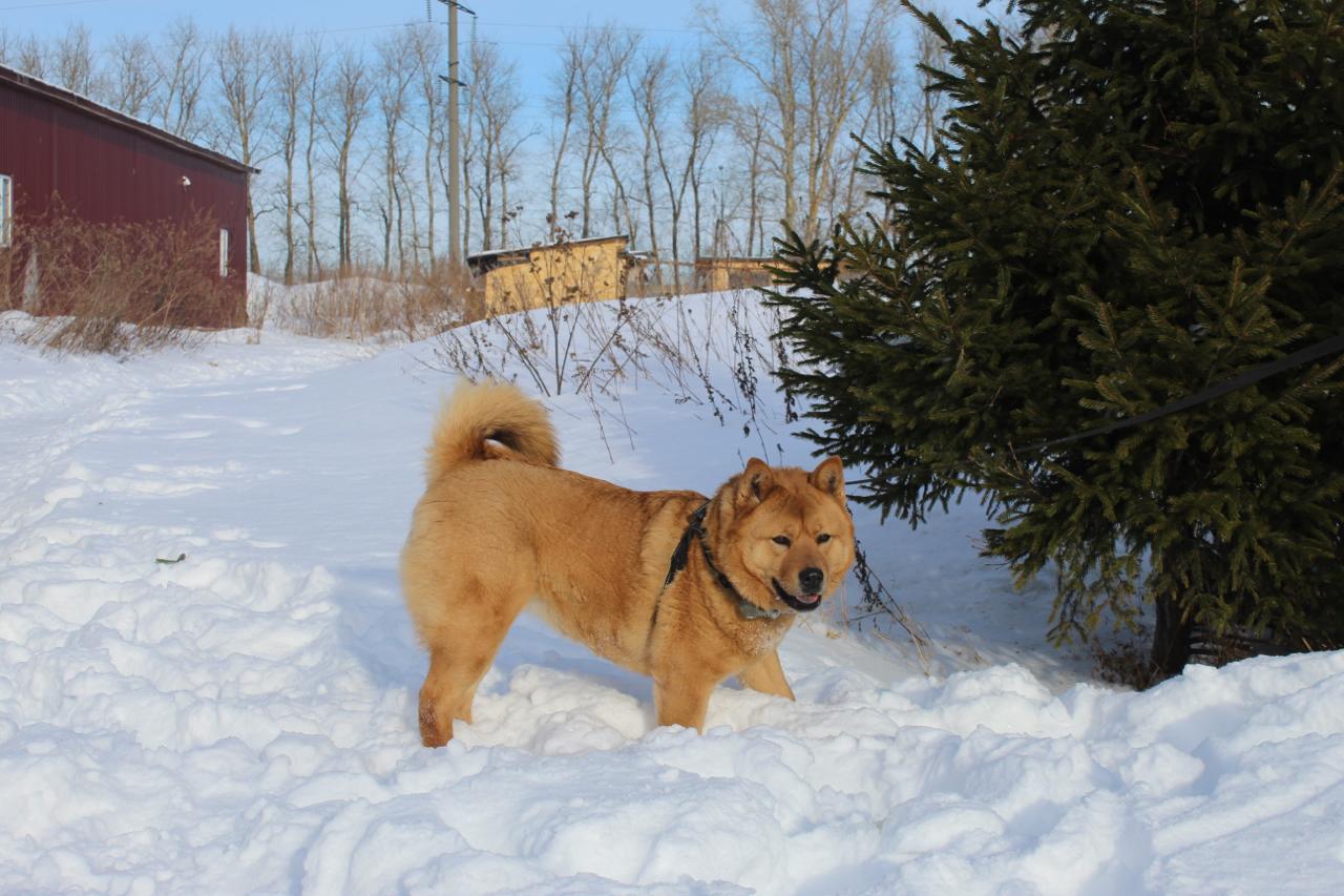 75d95a27-f56e-4933-81a7-9bf8256d9986