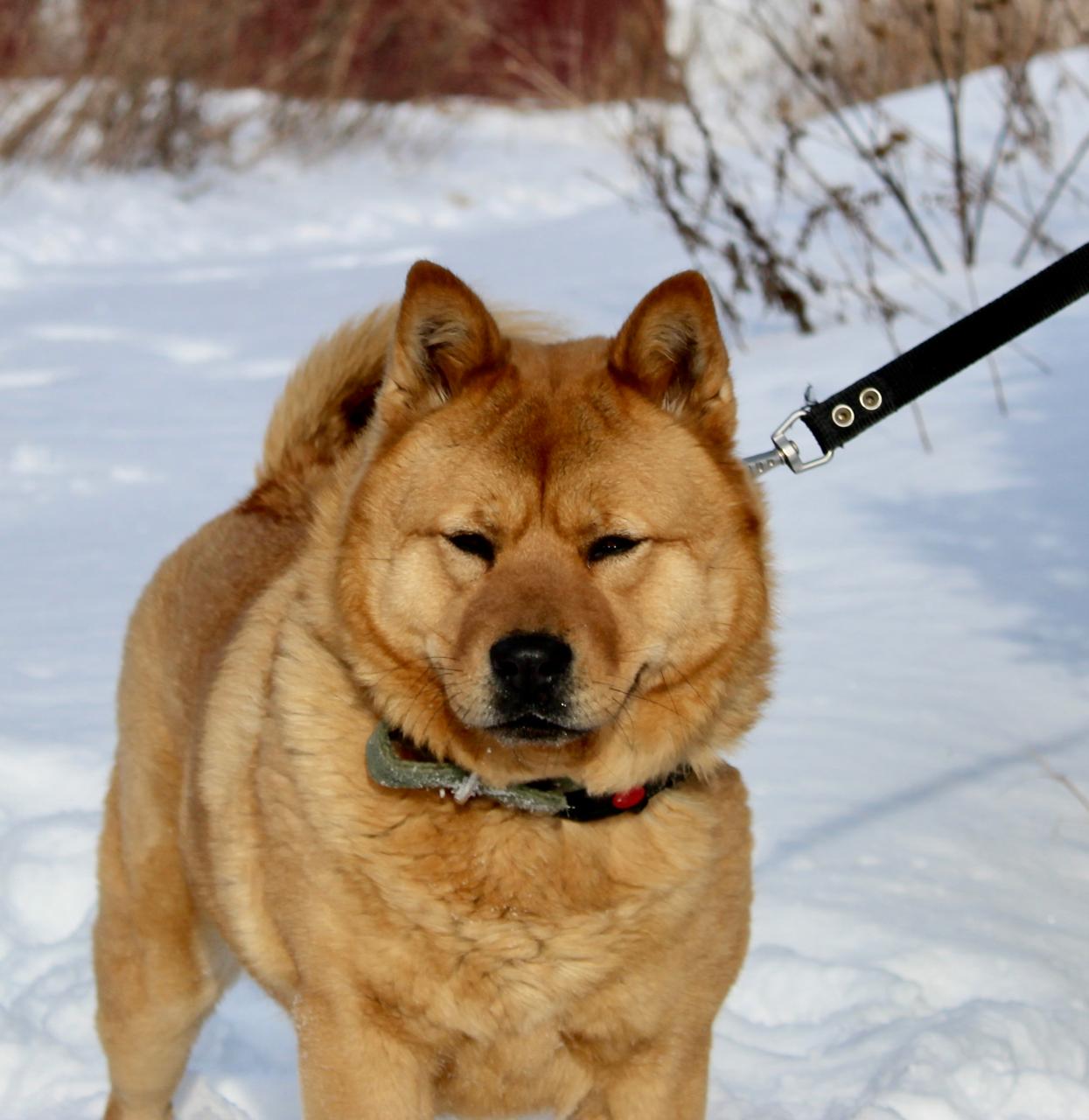 8d64018f-4877-4e4c-ac3c-3c23db402c3c