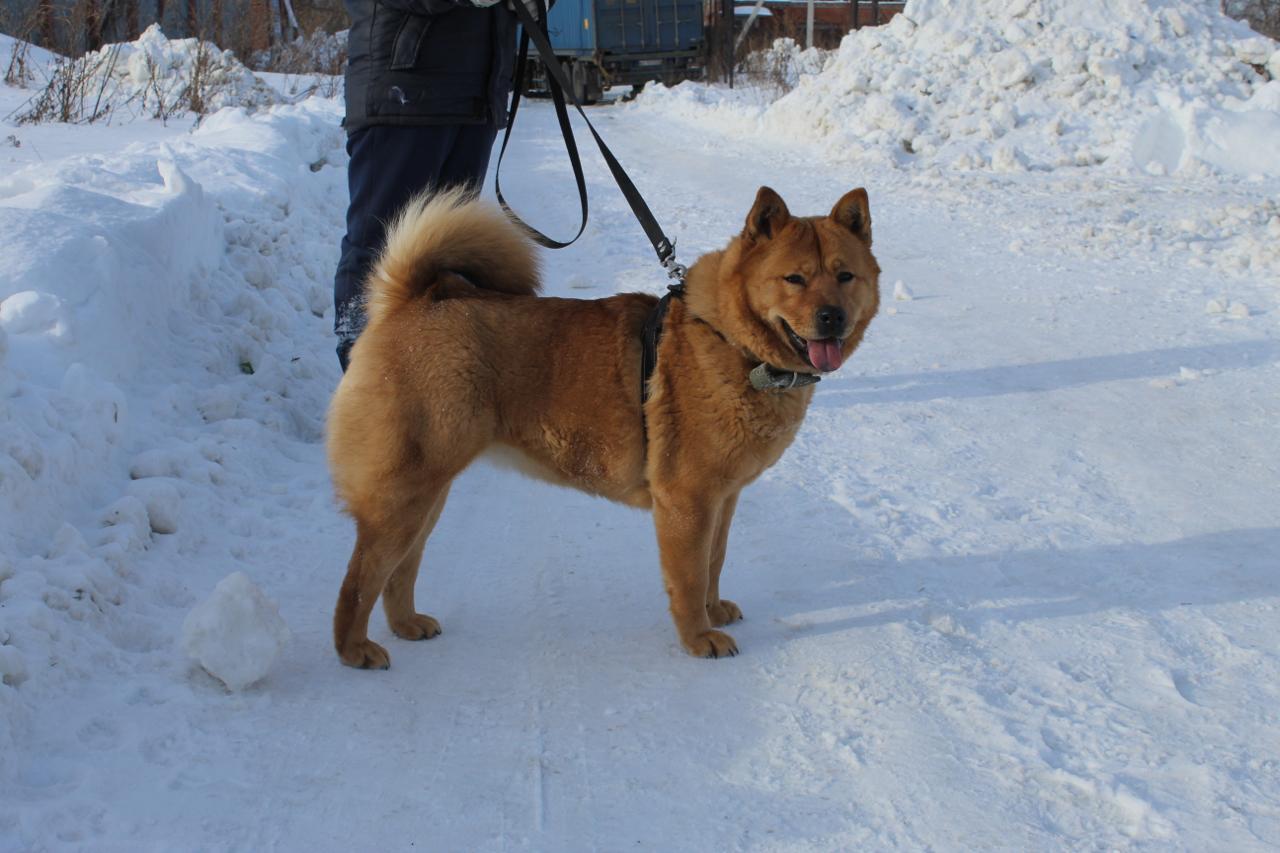 d7118a77-1053-4fff-a3dc-5edb89cb37be