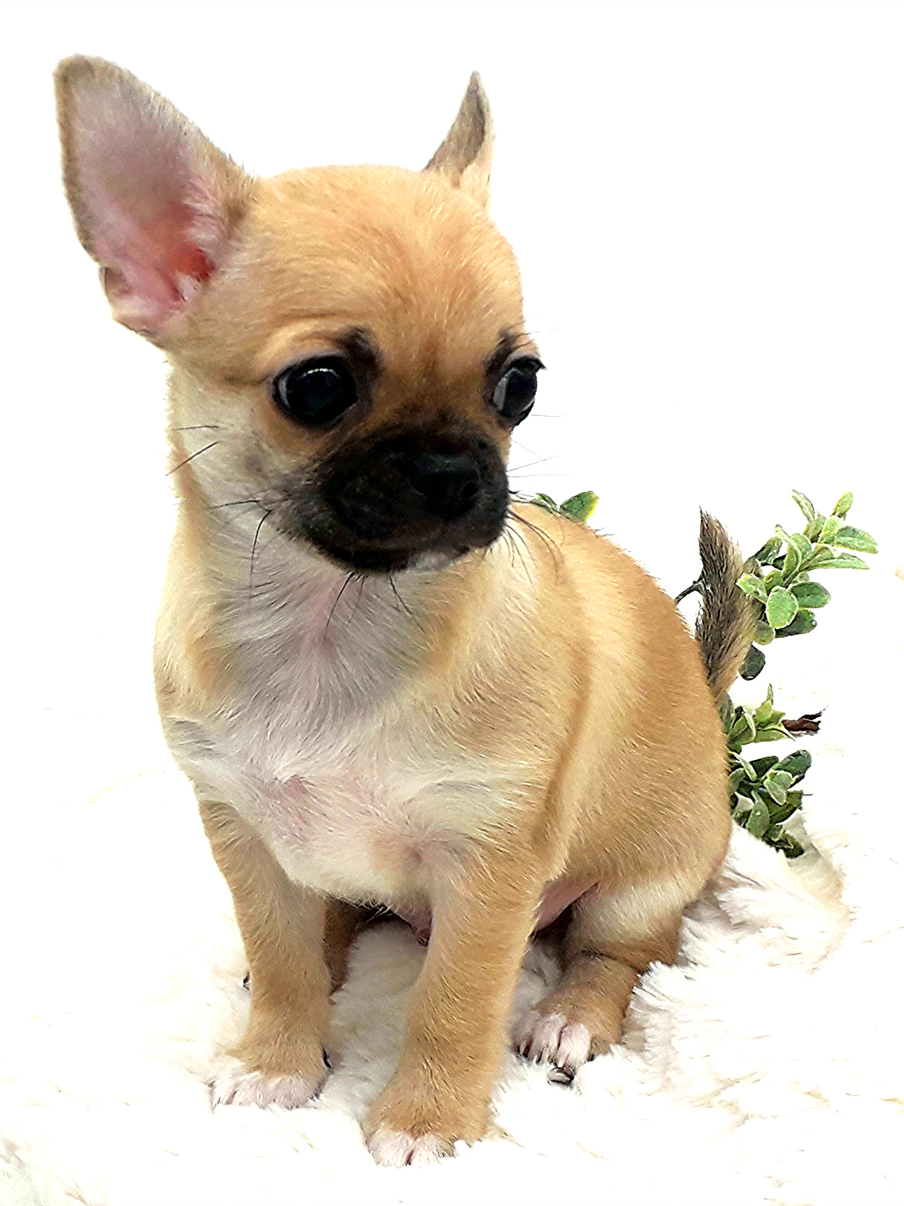 029хороший-мальчик-—-копия