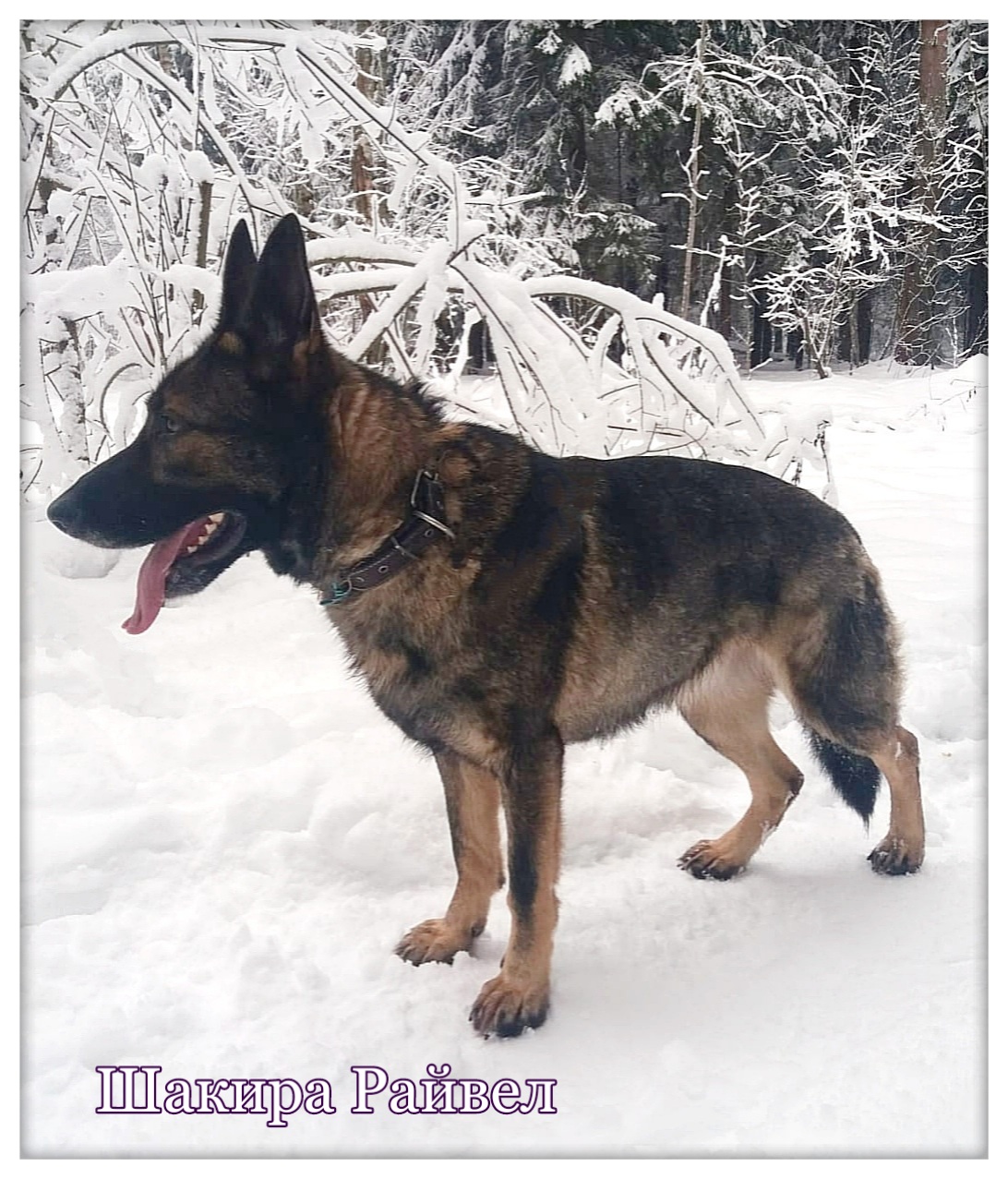 2024-04-24-06-53-52-559