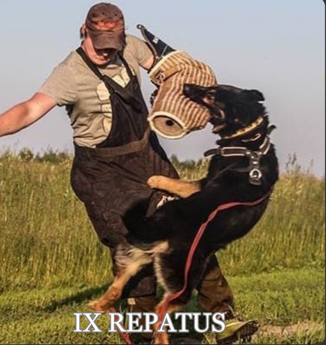 2024-04-24-07-00-11-877