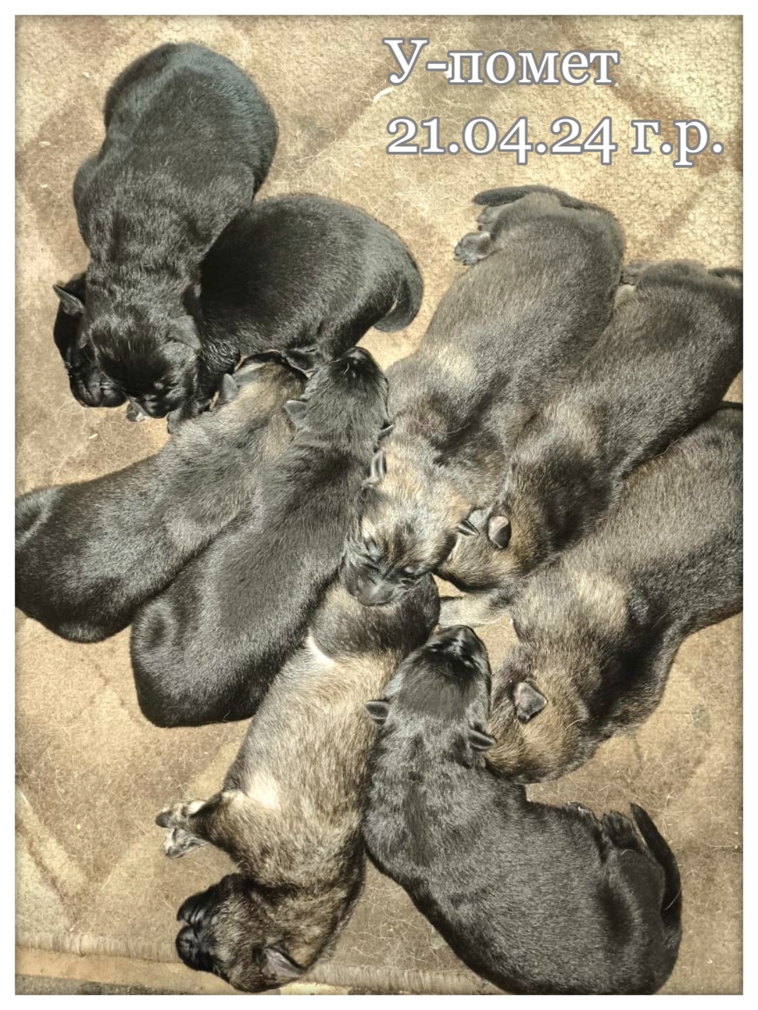 2024-04-24-08-41-13-718