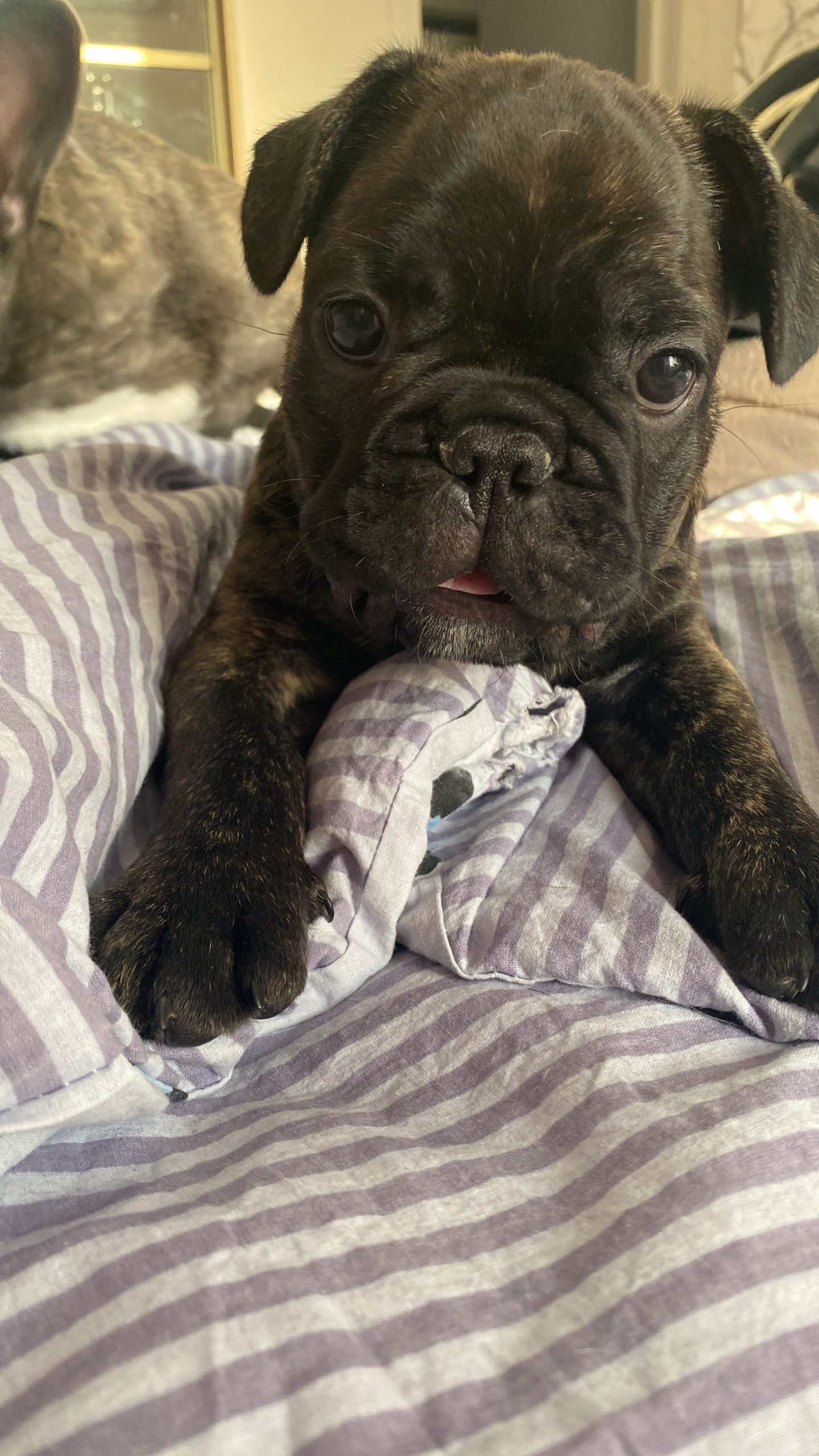 2642E9CB-8A13-4593-A097-FB7DFFBD059D