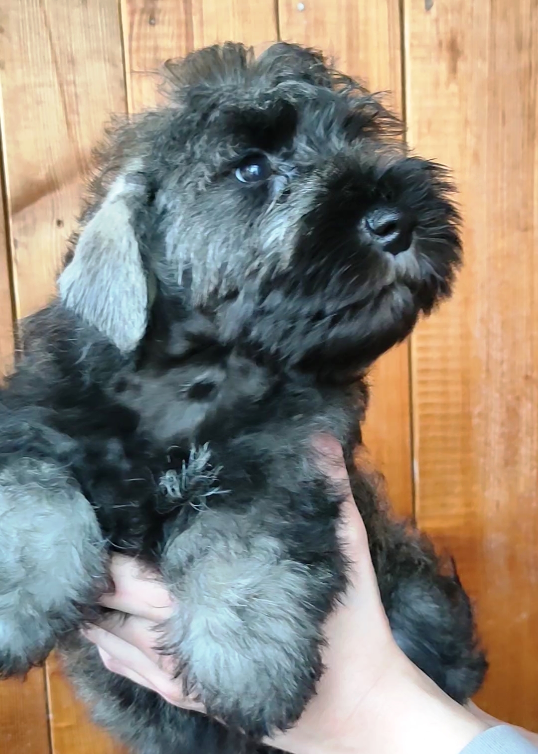 IMG_20240408_07563885