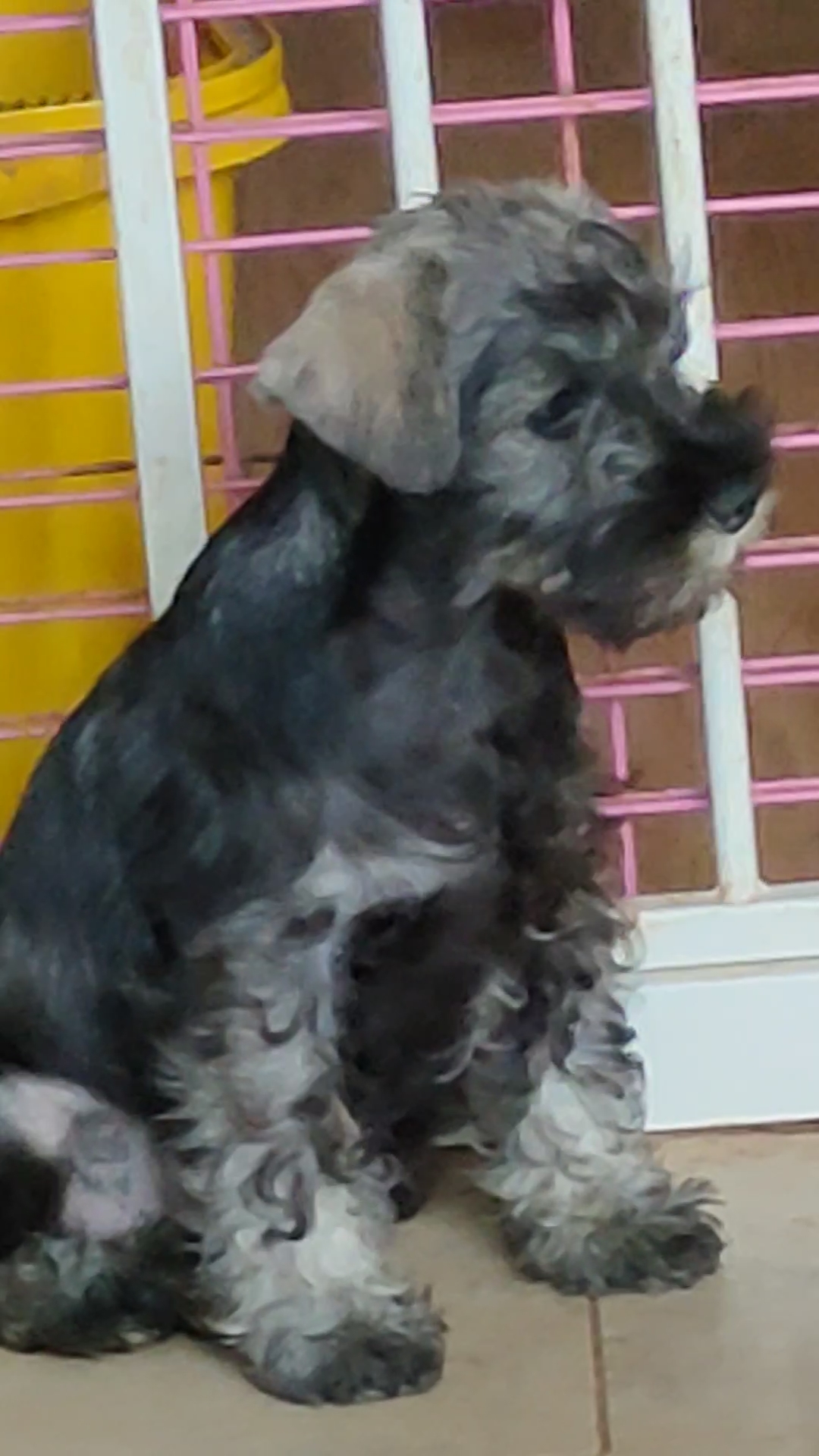 IMG_20240414_20305265