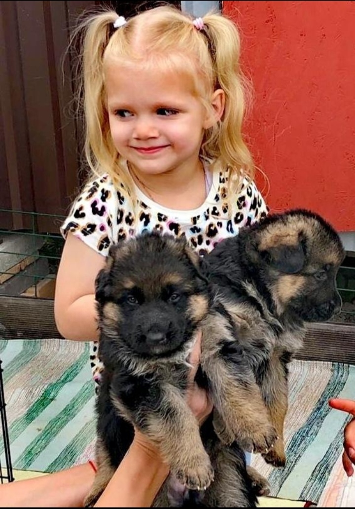 Screenshot_20240422_075303