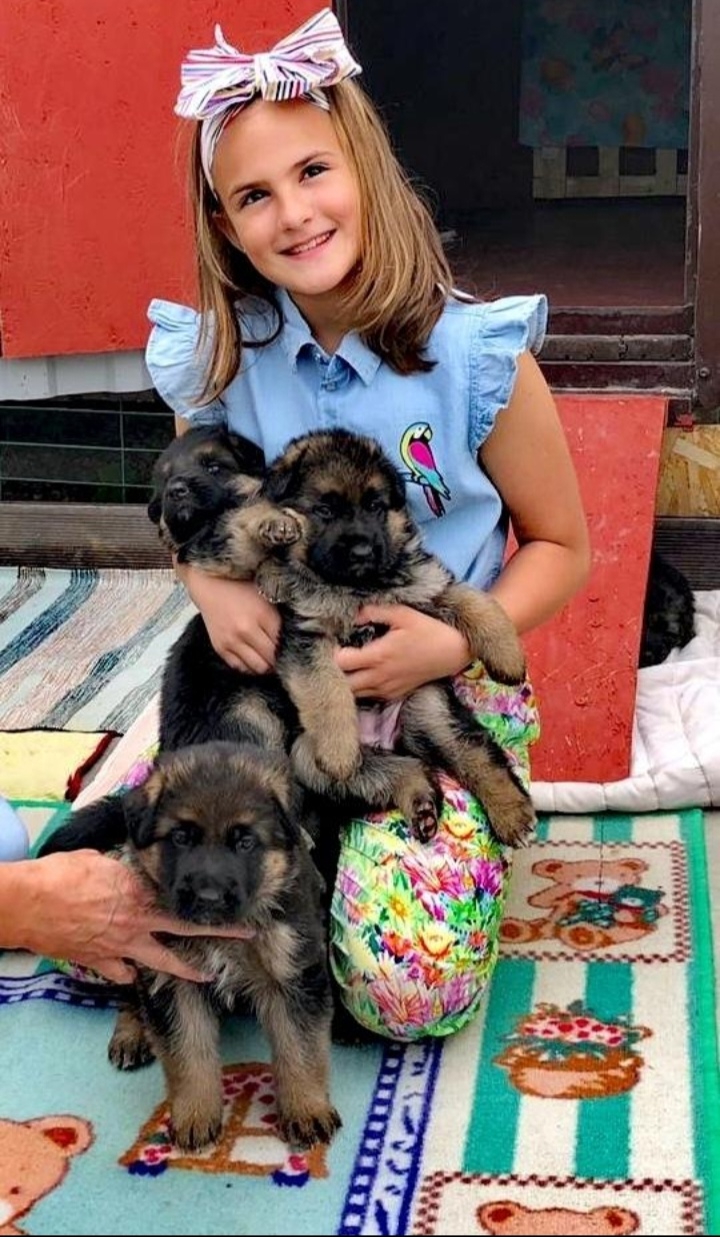 Screenshot_20240422_075328