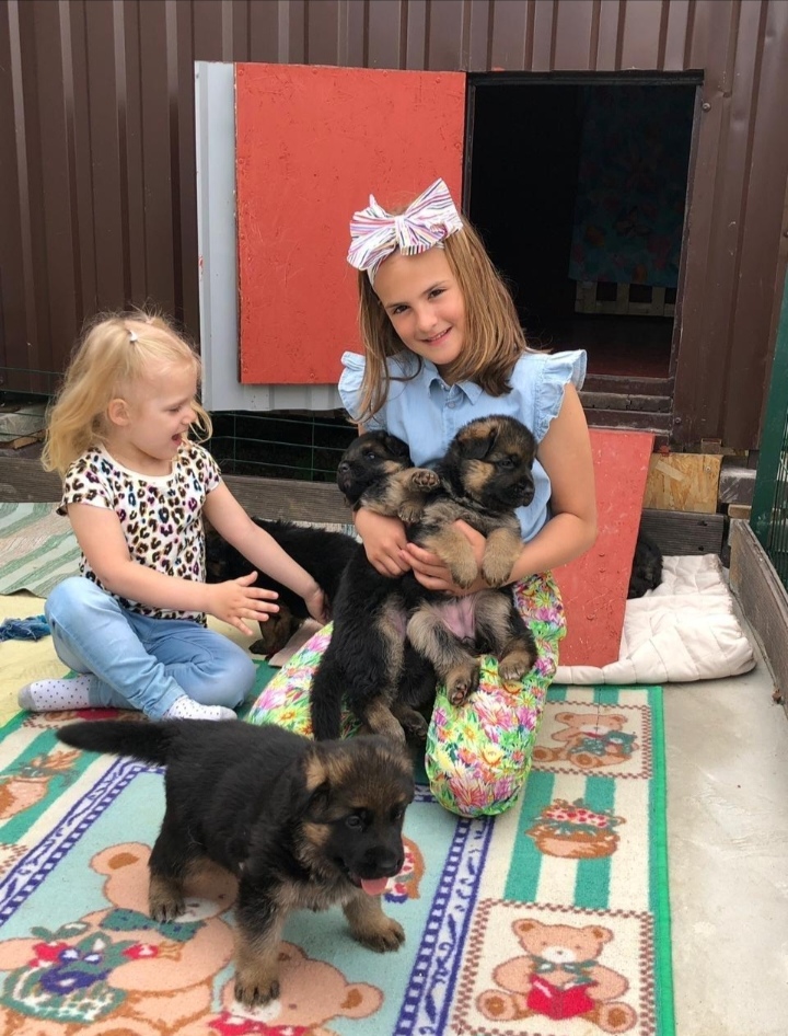 Screenshot_20240422_075346