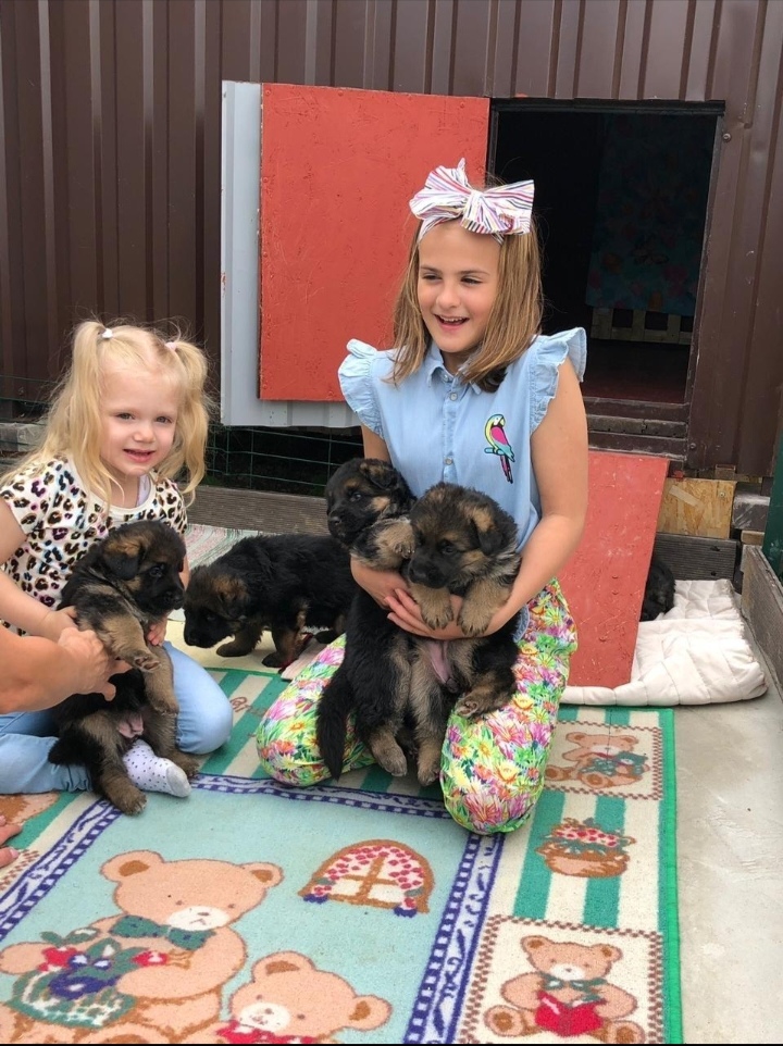 Screenshot_20240422_075422