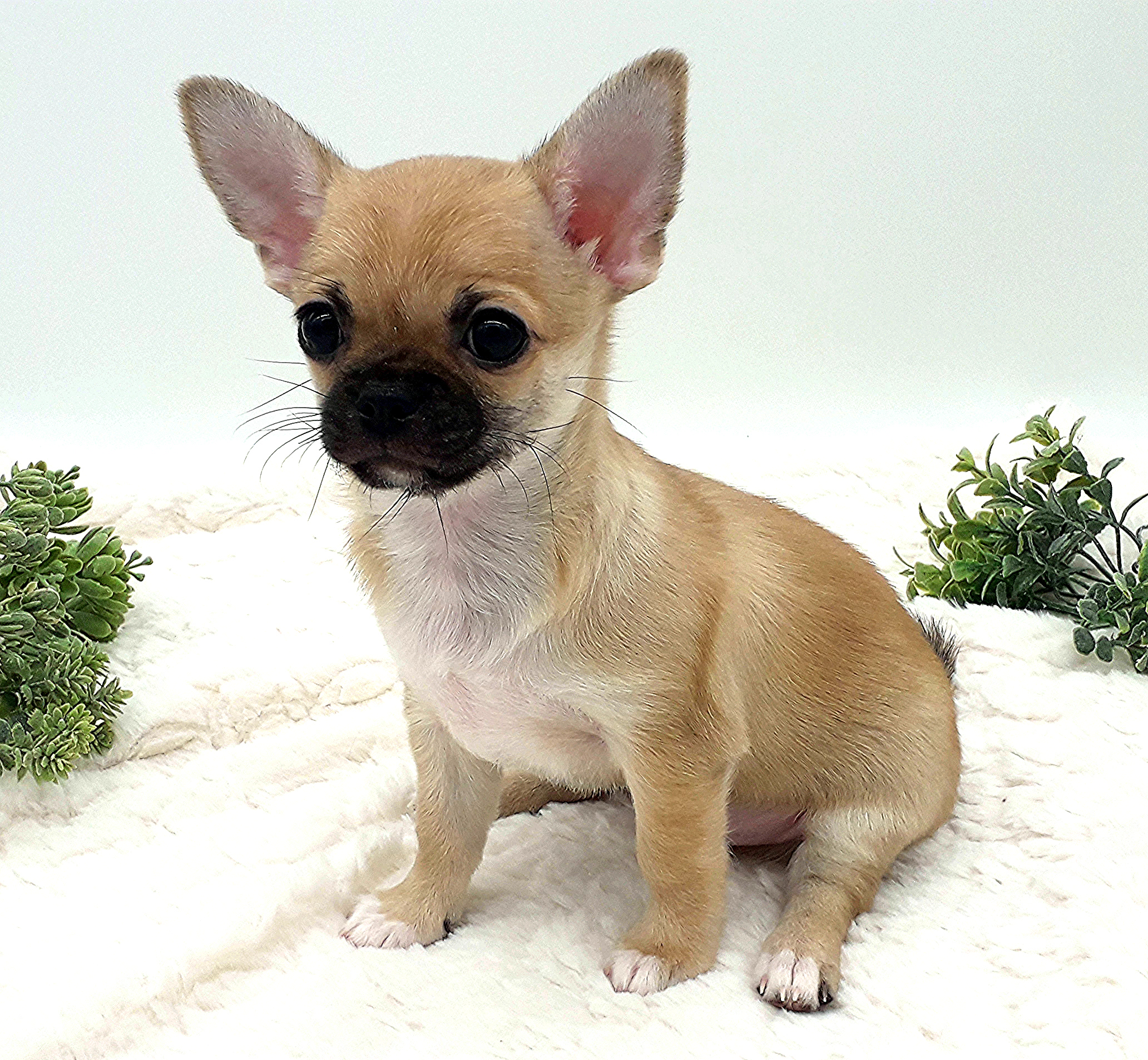 27очень-милый