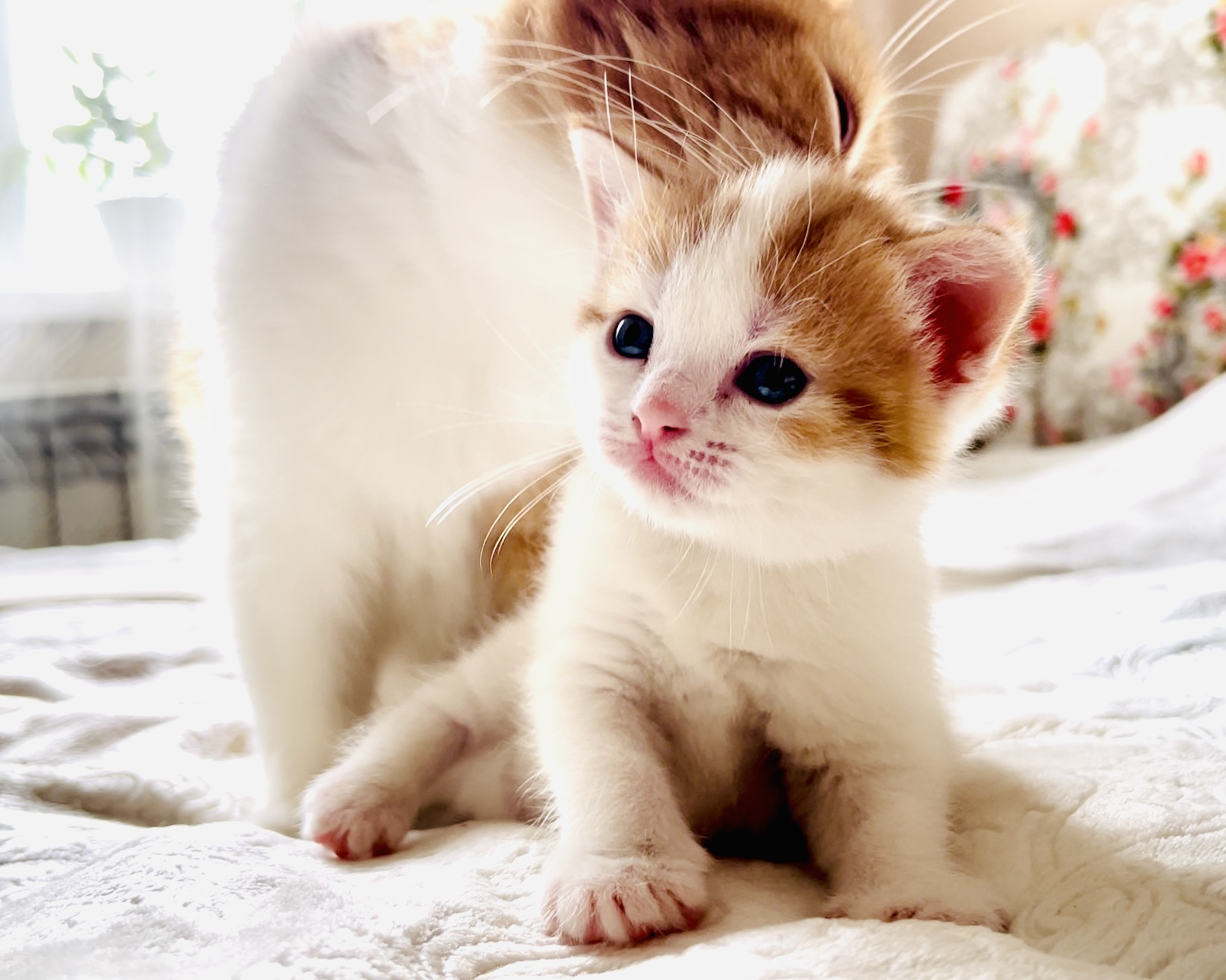 575E7E95-DE99-4FA2-B526-FA2728C46BF7