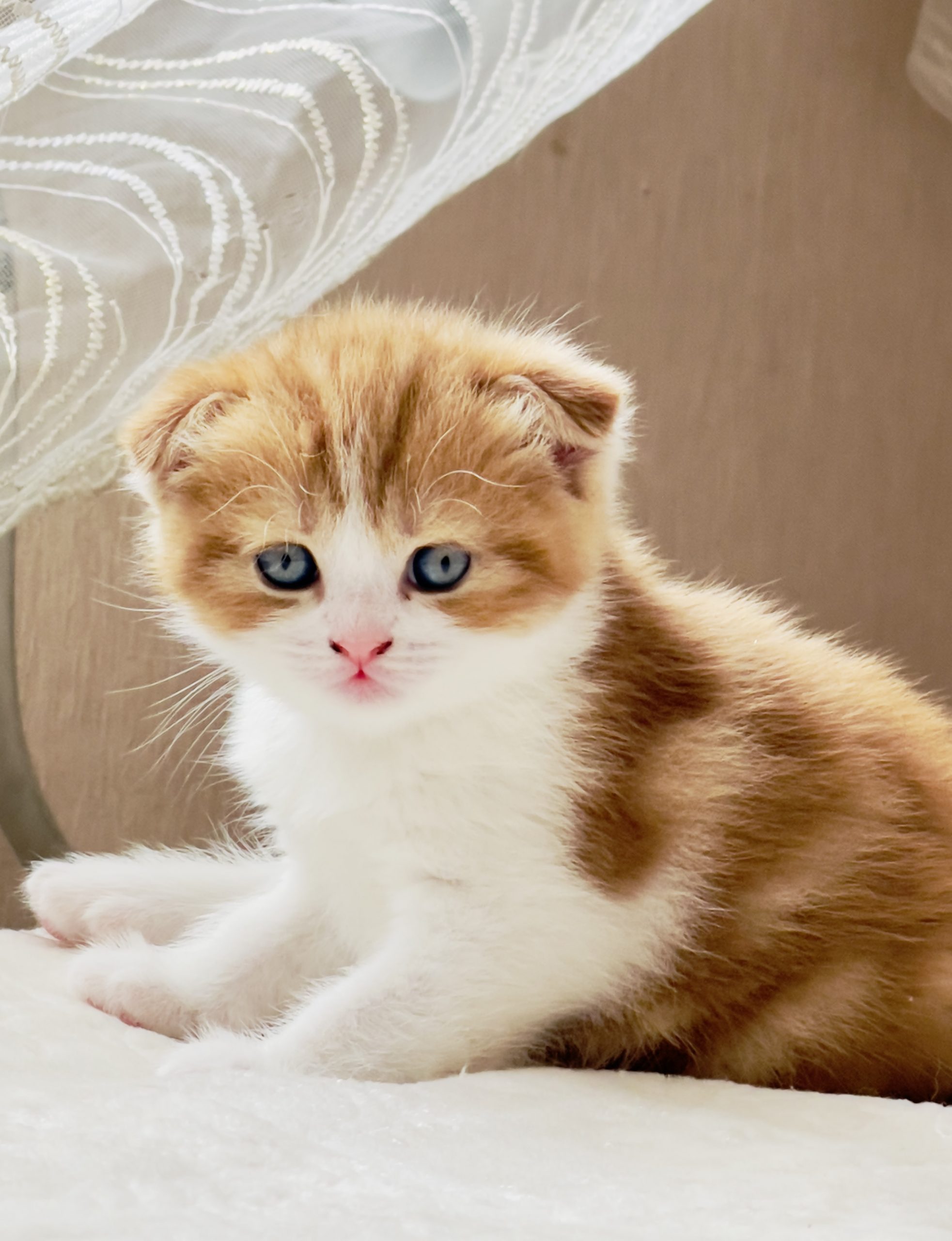 7C7A1BF6-76C1-490F-8CBB-F8ACE9151A82