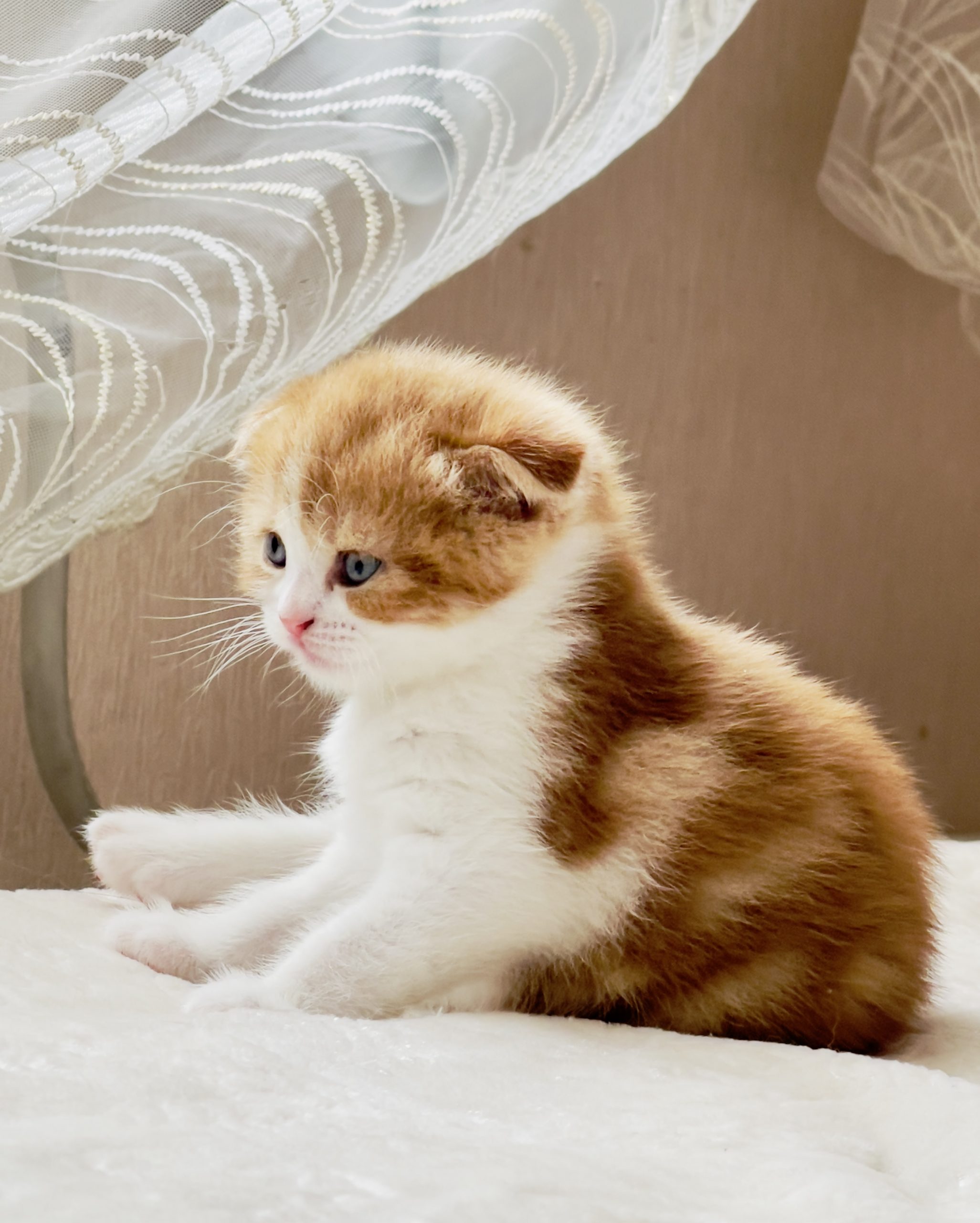 8AB995DD-9511-4E84-B52F-72B1A6895499