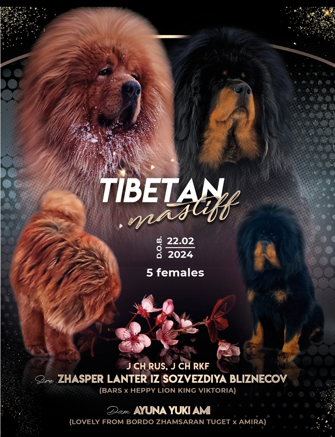 Screenshot_20240511_175106_VK