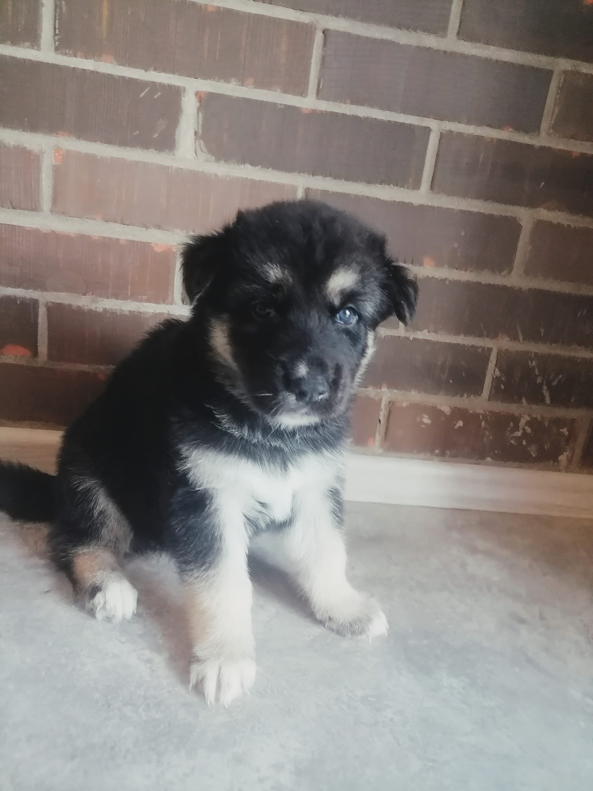 InShot_20240620_151953022