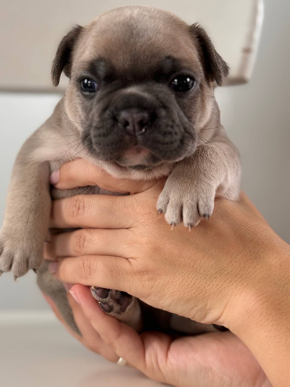 IMG_20240803_130915_831