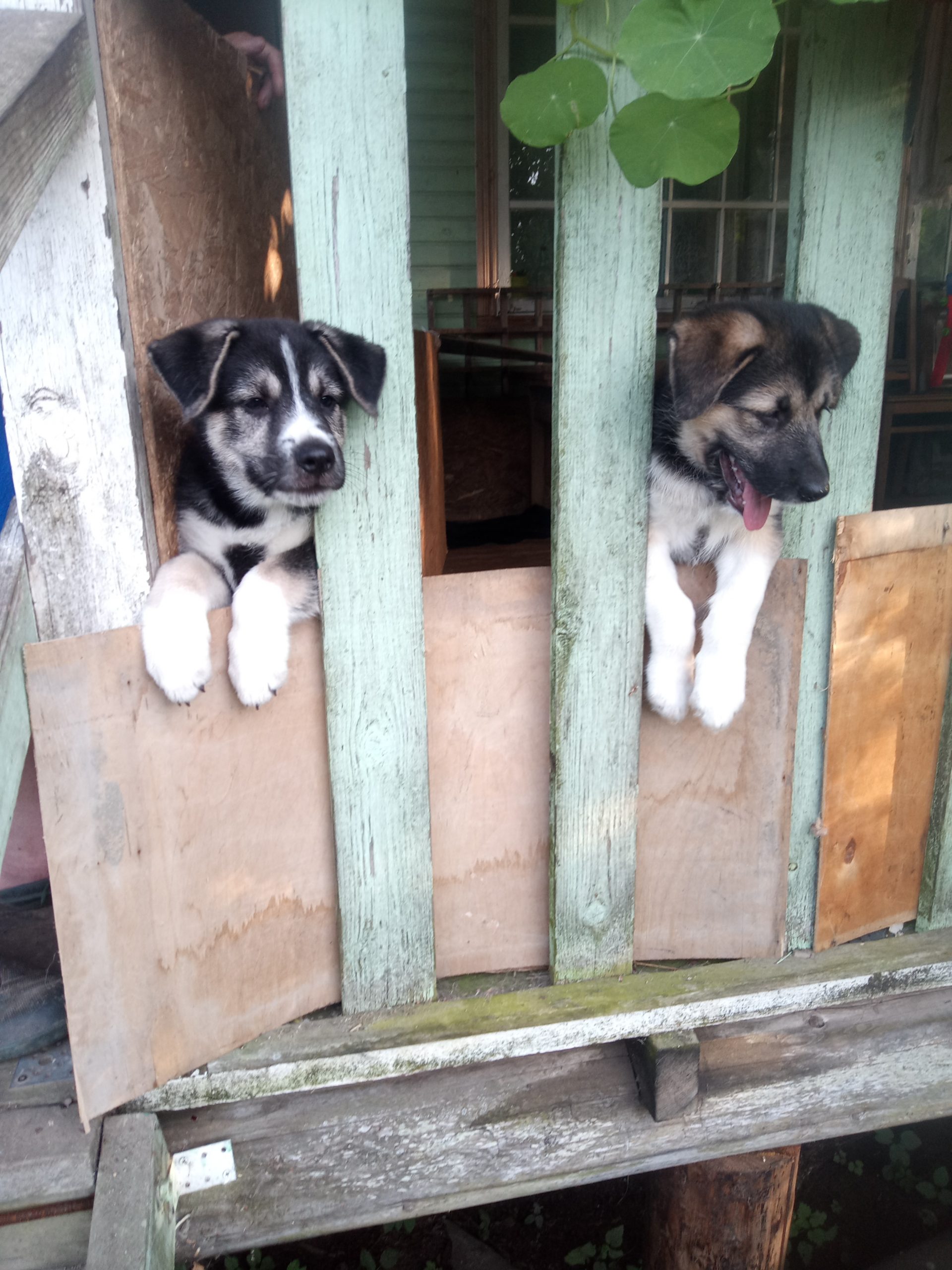 IMG_20240916_173414_117