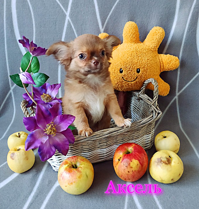 IMG_20240929_171402_обработано