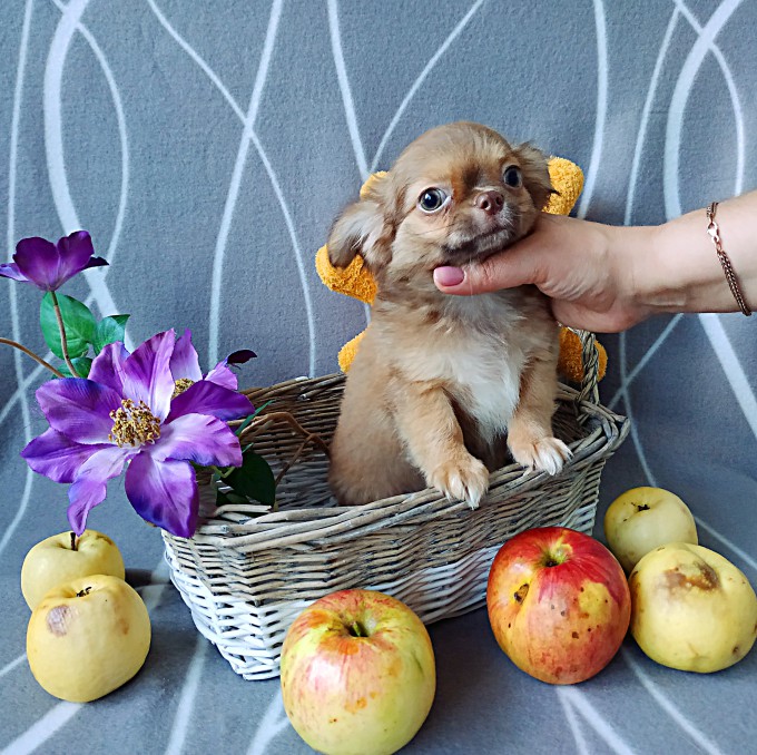 IMG_20240929_171732_обработано