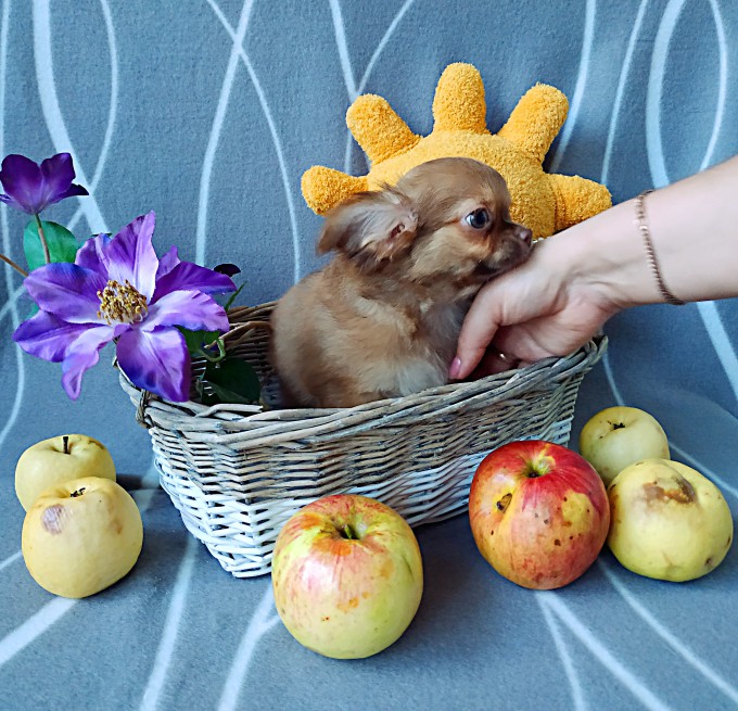 IMG_20240929_171754_обработано