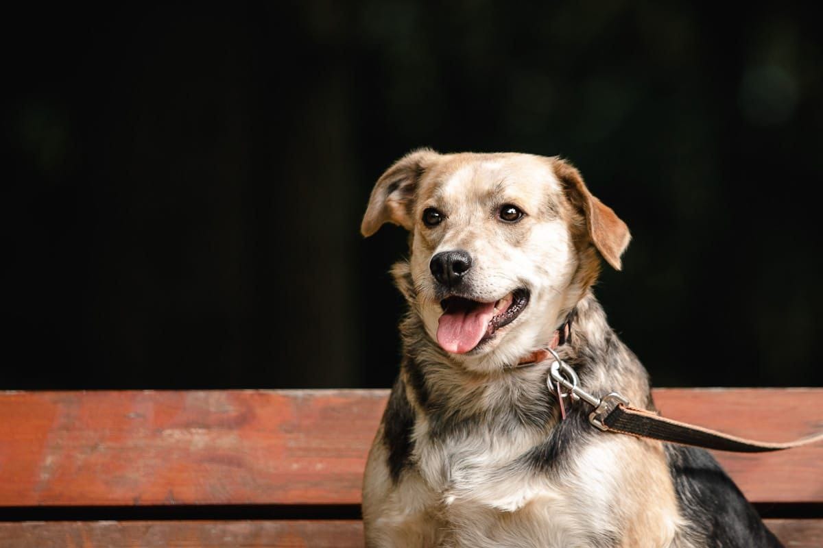 WhatsApp-Image-2024-09-03-at-17.09.45