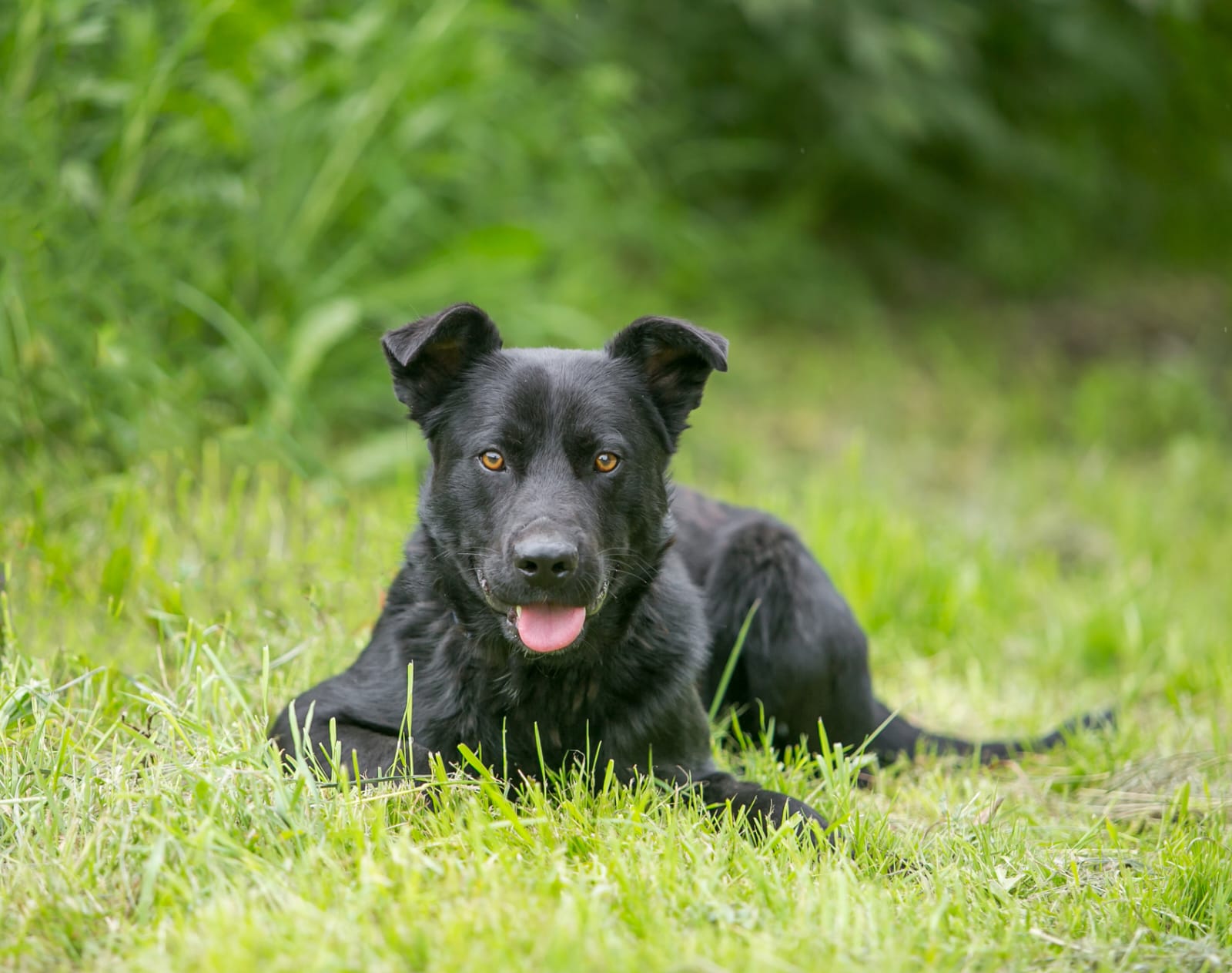 WhatsApp-Image-2024-09-06-at-22.31.14-1