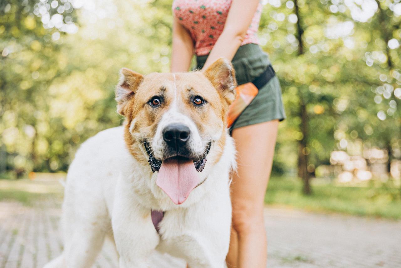 WhatsApp-Image-2024-09-29-at-16.04.27