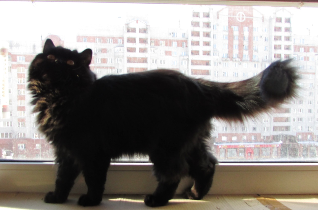 ifwmuEmp3NDKX2ovrHDAi1KkLXdqp48xoxUcQIfxpXMsH13Wxr4oVvGHL3NwVFYl2ocDRphOZSBBT_o1yYKZ-RCK