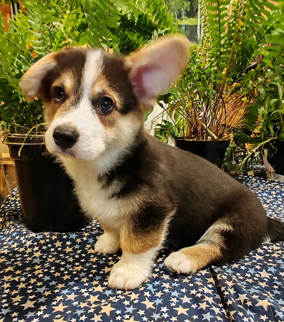 IMG_20241203_1057272