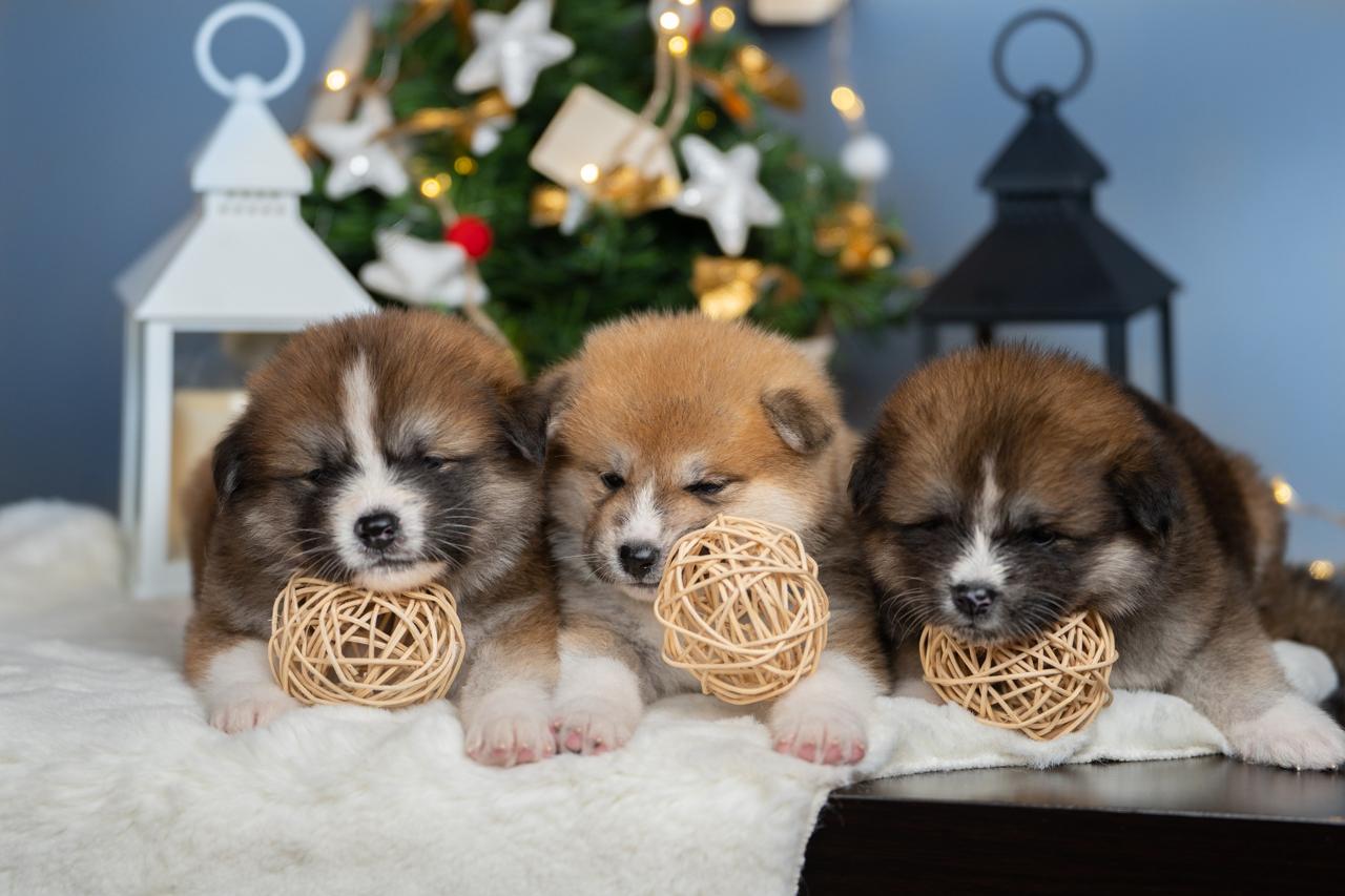 09675f35-ec18-41ca-a92b-1f17159e209b