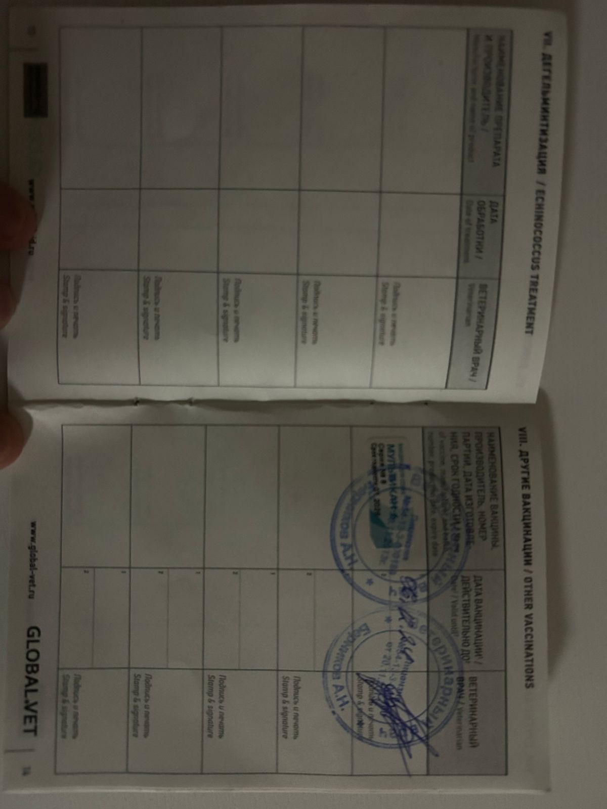 0d8ee163-40bf-432e-bac1-44d41322bdbc