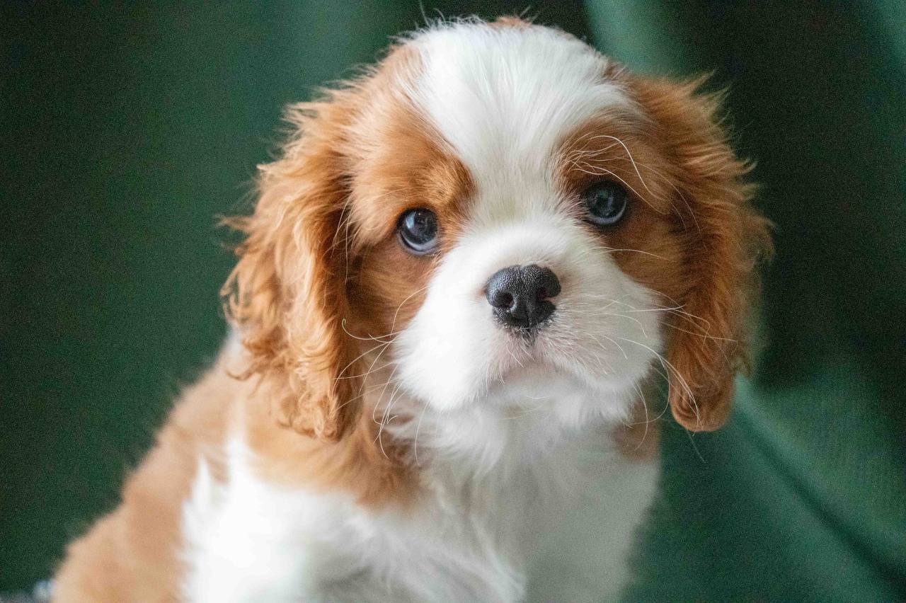 photo_2025-01-29_13-42-15