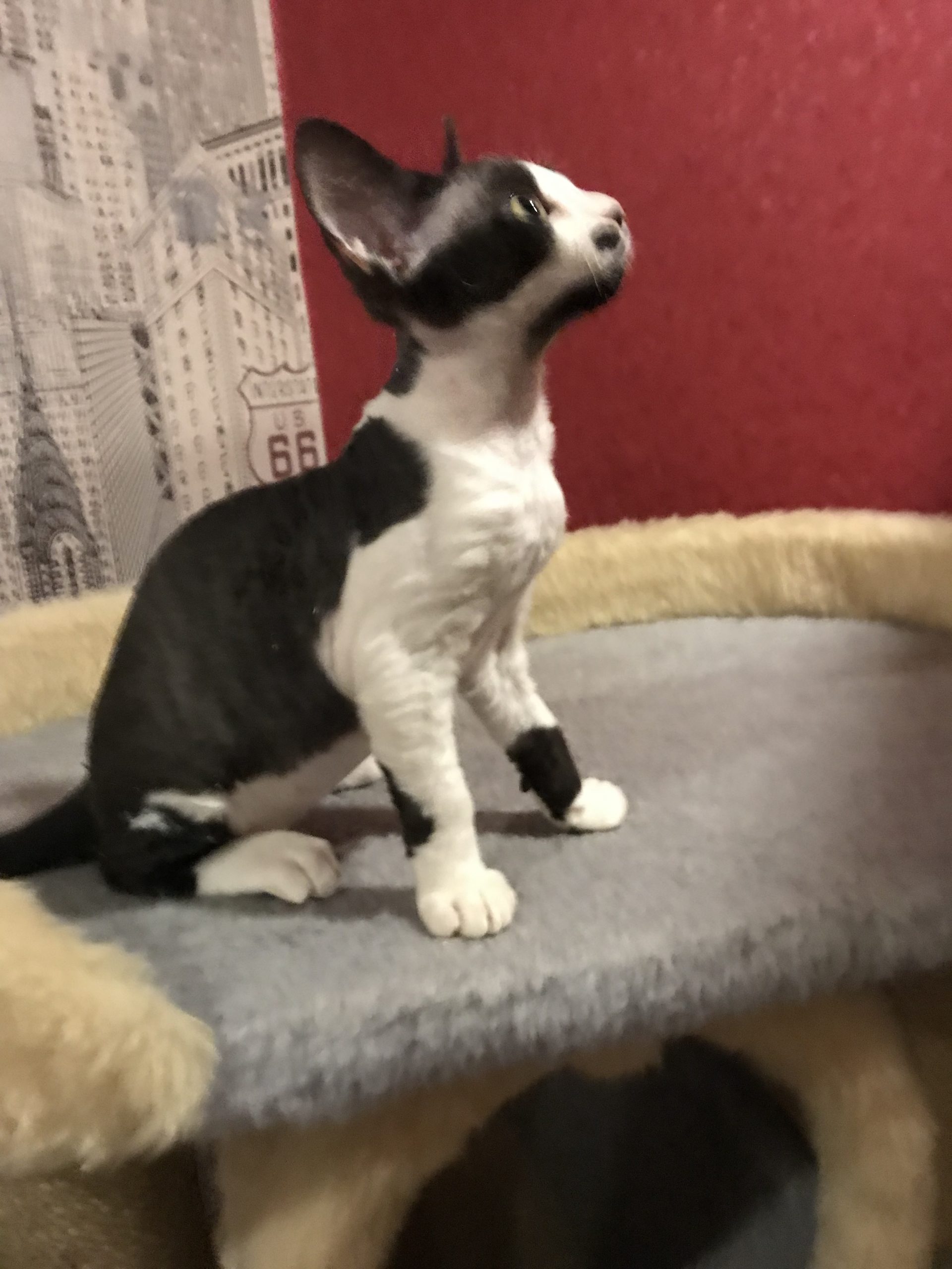 10F12909-BA3C-40E1-9041-FCFAE6462323