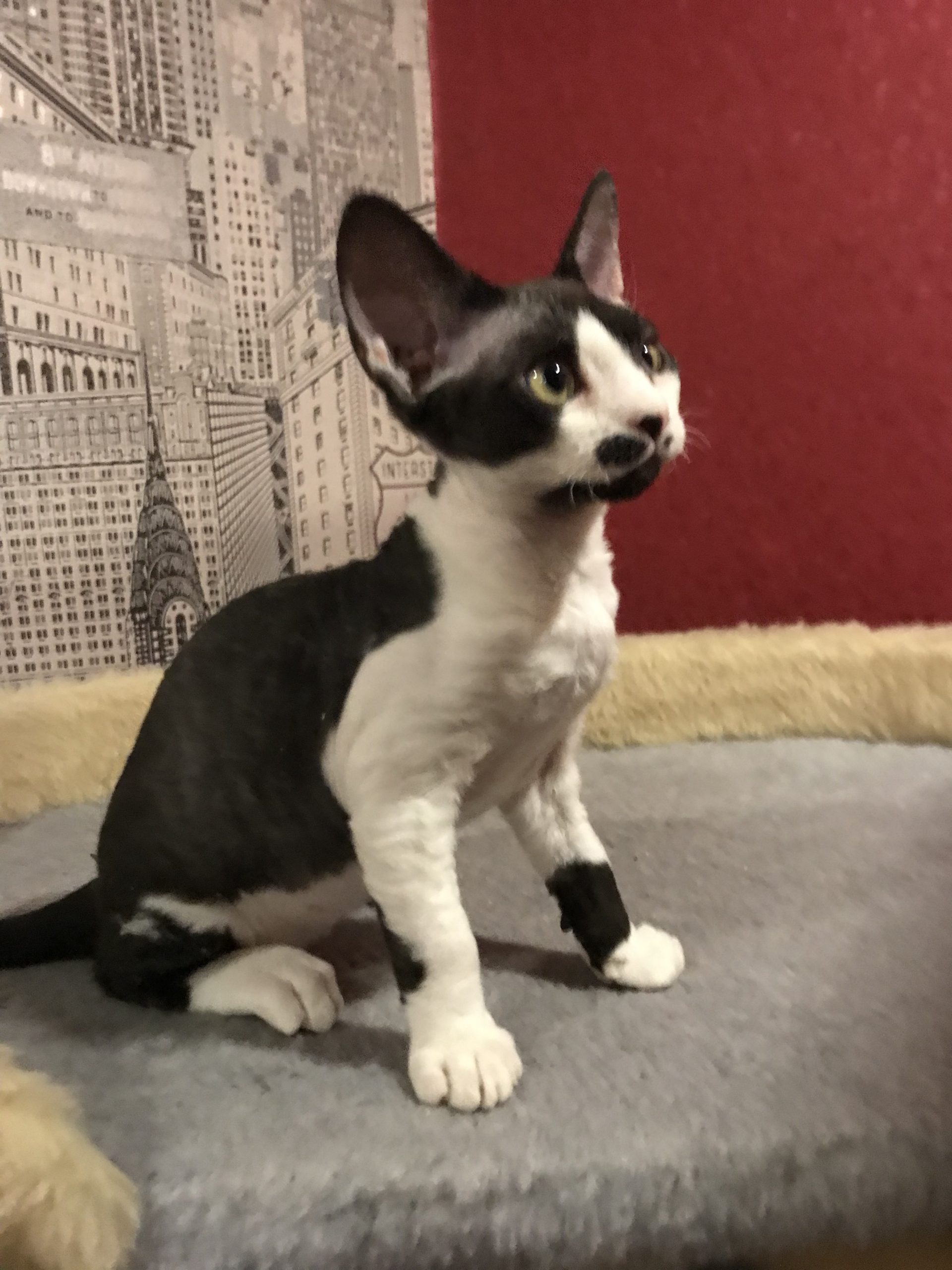 621AB56F-51F7-4460-A0C5-BD7BF4AE3766