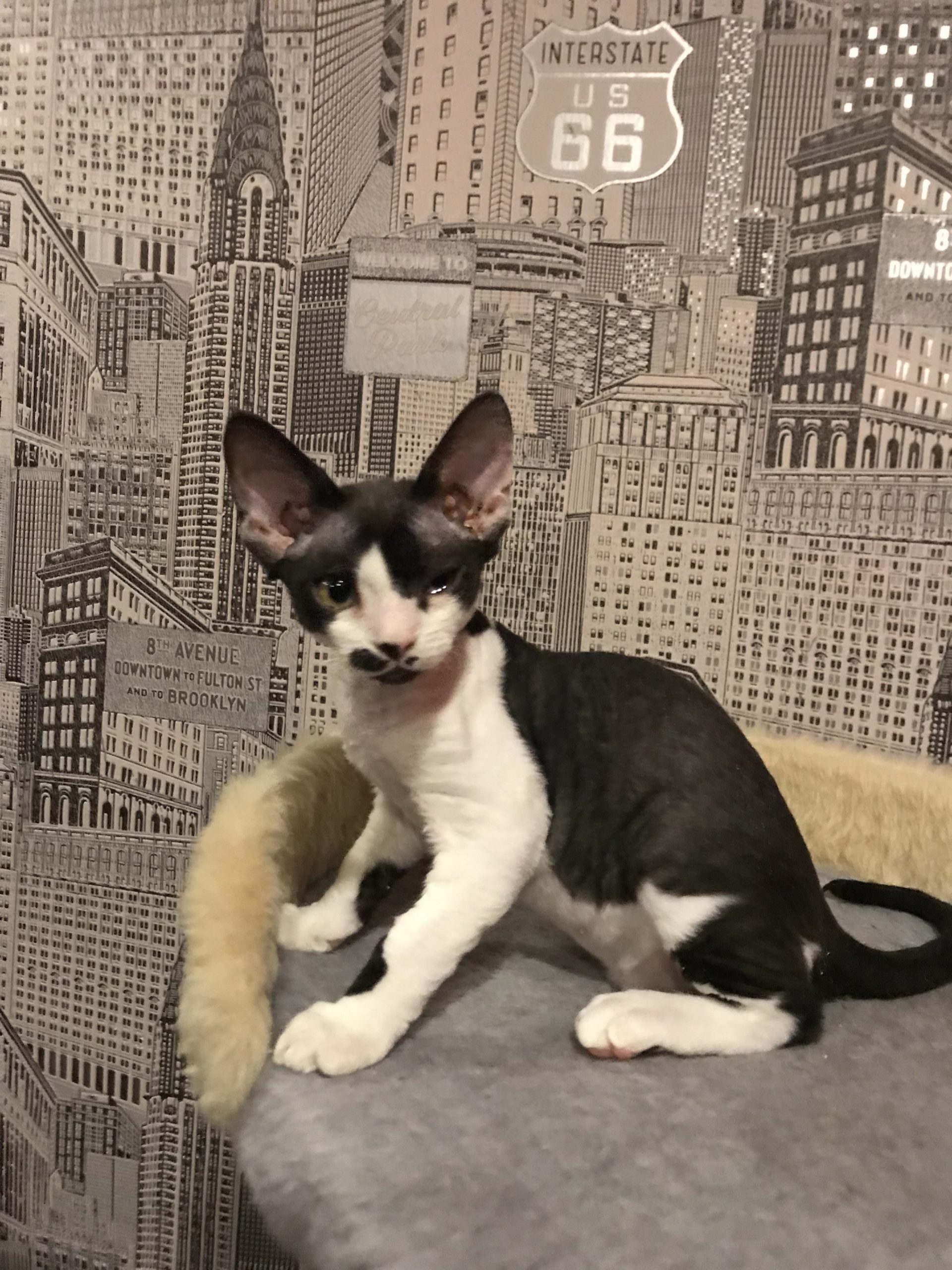 E4244745-874C-47D7-AC0A-899200071751