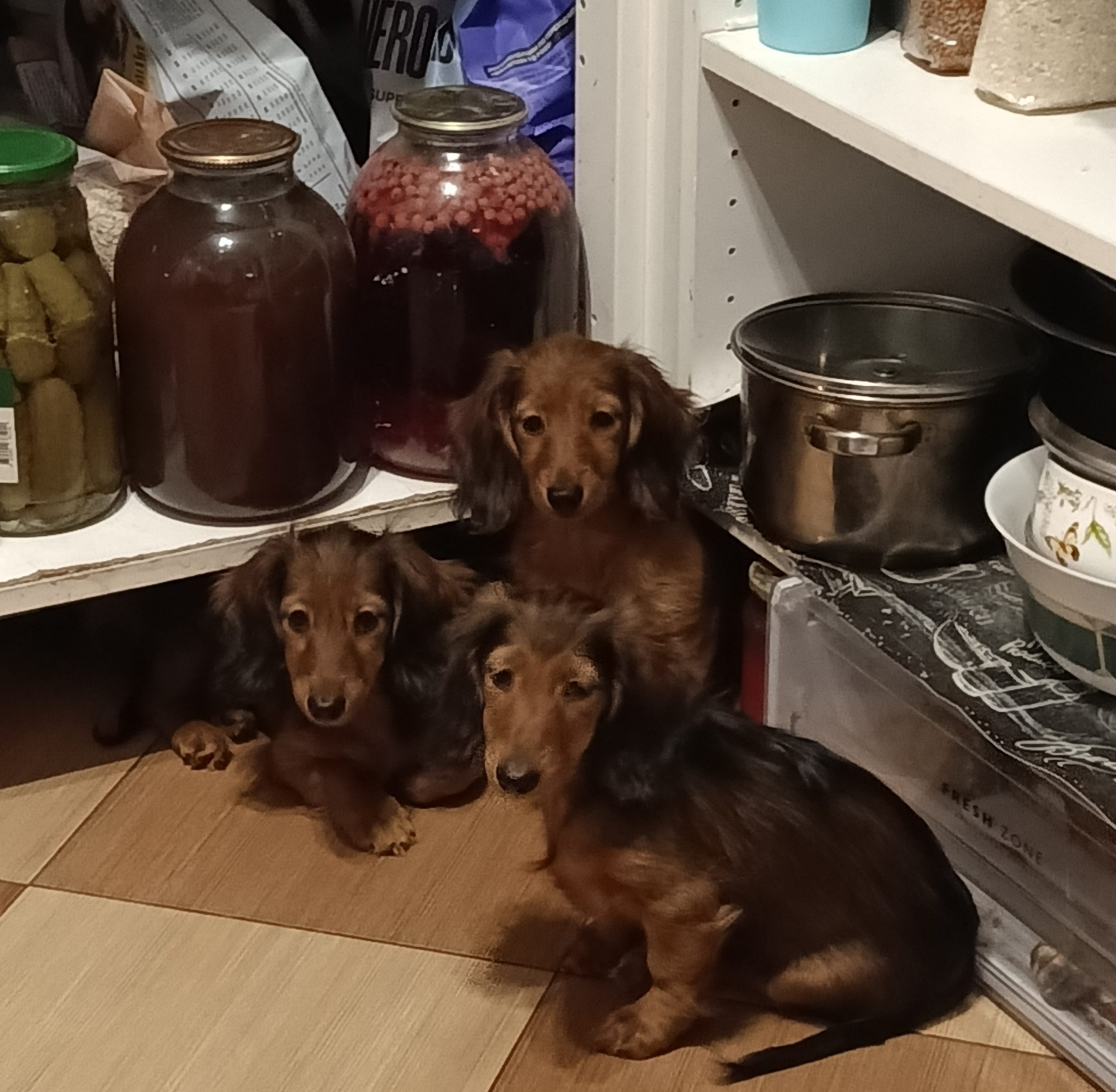 IMG_20250210_203711_750