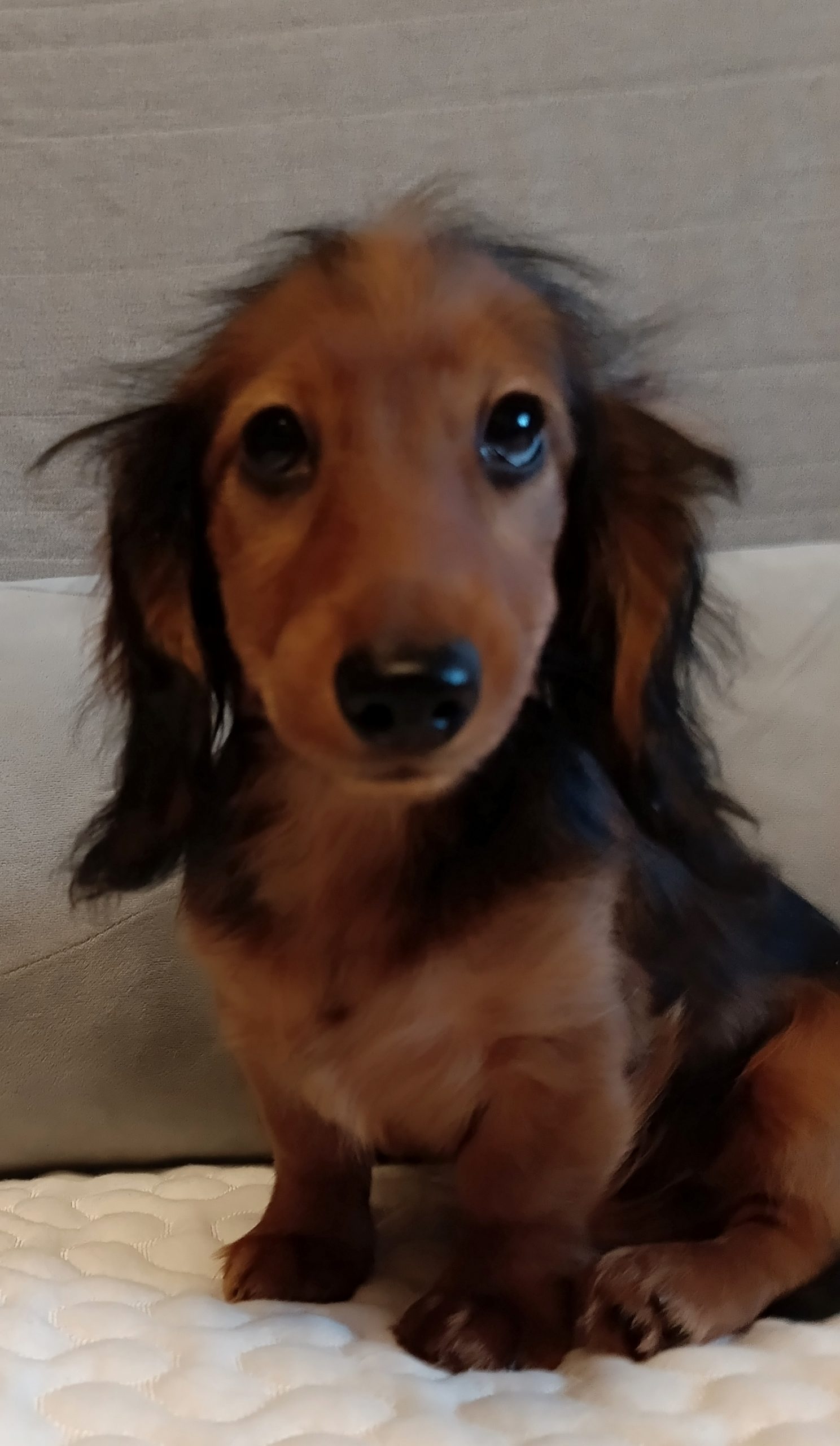 IMG_20250217_101807_766