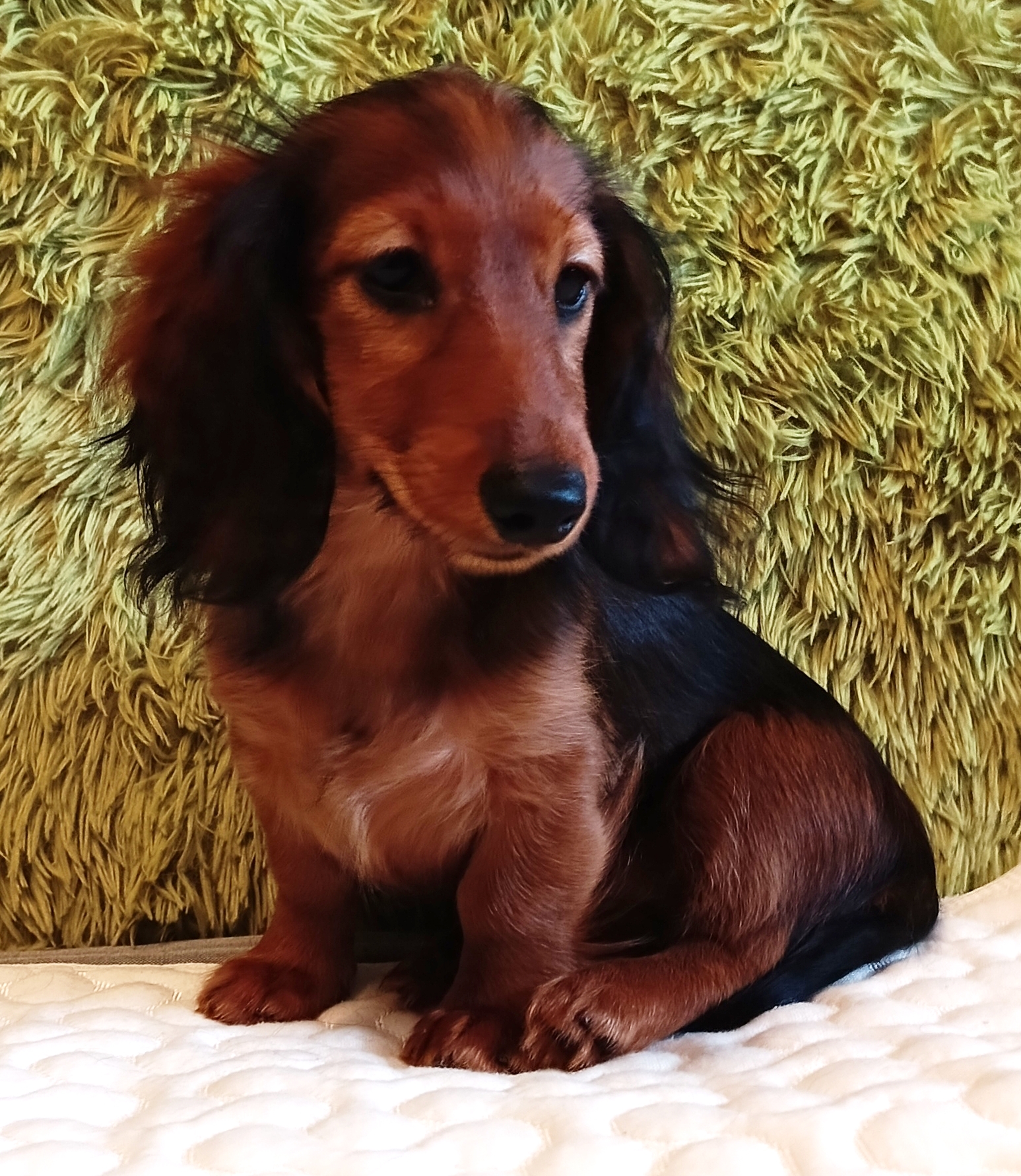 IMG_20250217_122002_101