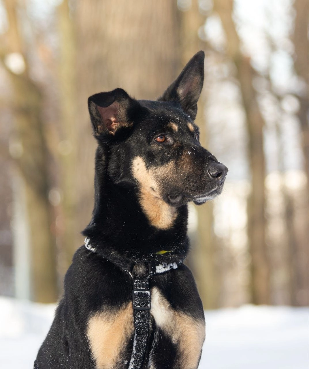 31Ye9qraV71j1SUuh0z8I6JhzRfqO9kEM0T8Z0XJHsZKGHeJZhgKbcjPAvuwh59JJZqI729050XMia-vl1DV9LLd