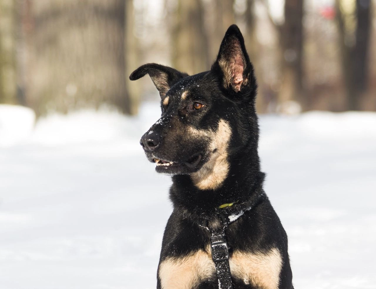 3vFRO21NNSN8d8xzal5bix4leFbnFQMZLlFX3VX9Zz4uWnXfz9O4_NC15VzBk2AeiadL7QBAha4V6nRi6UPPyBc3