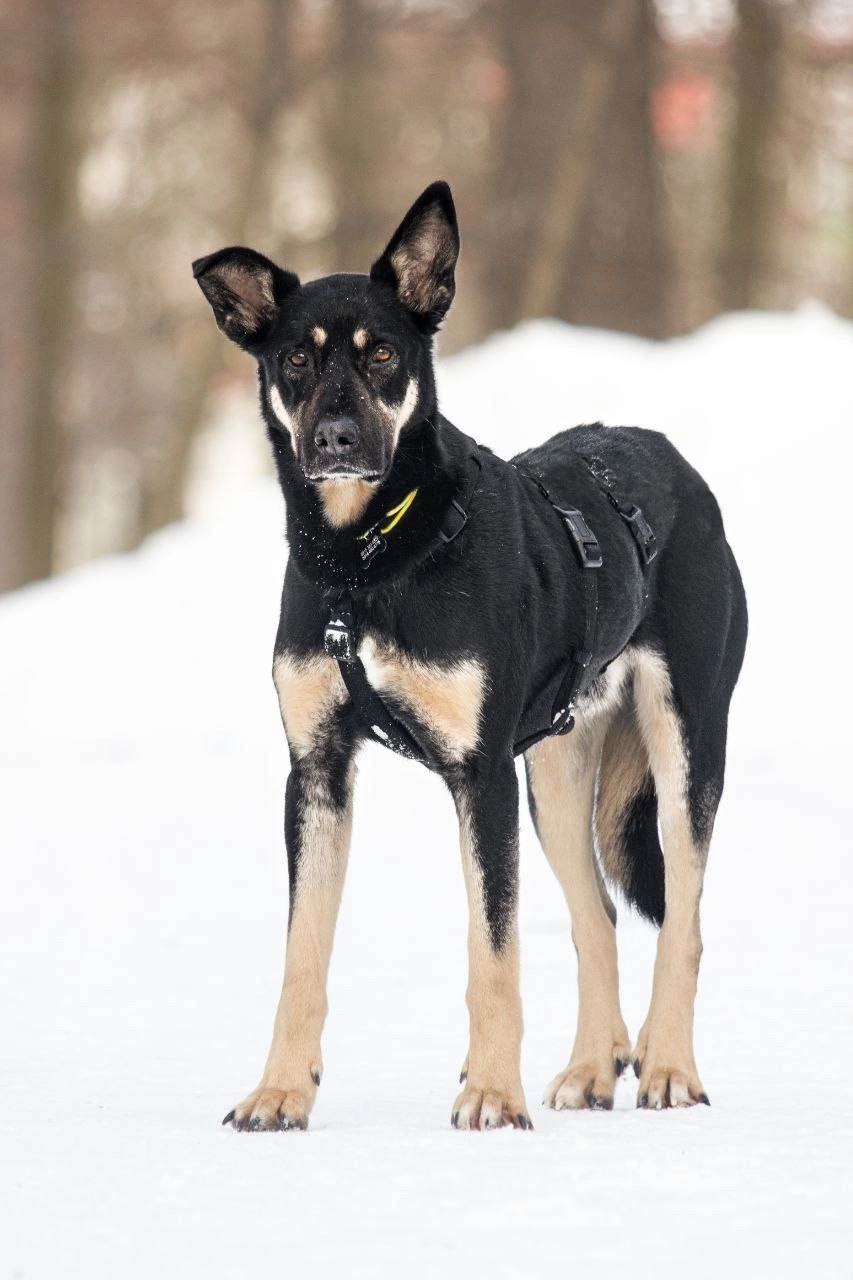 4XiWkn1YMw2TSC8juha6KXmPGTjtlSsmcqaovLP92nnpGDz84cQEFvTCn5C8s88HGaim1CuZU5NKWV0xB53ygh_h