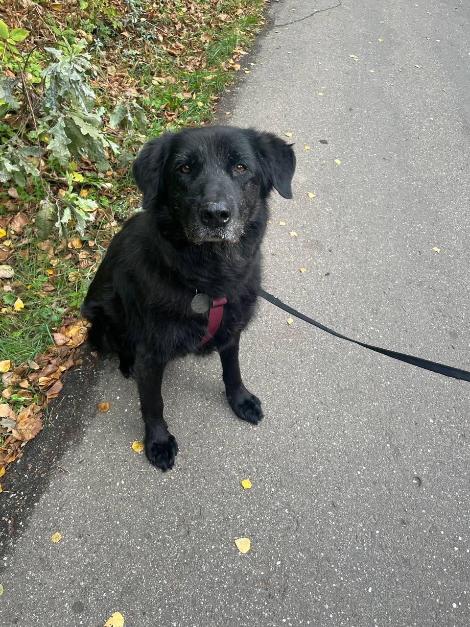 IMG_20241006_151213_960